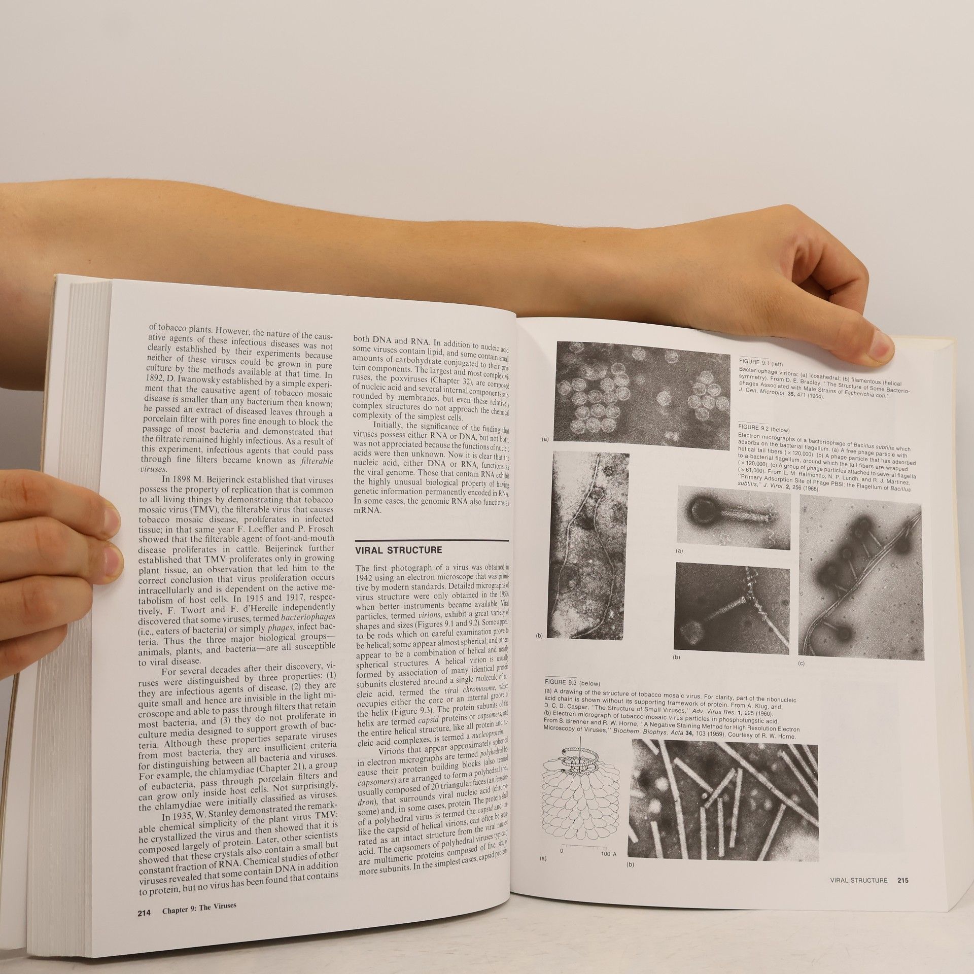 Roger Y. Stanier General Microbiology