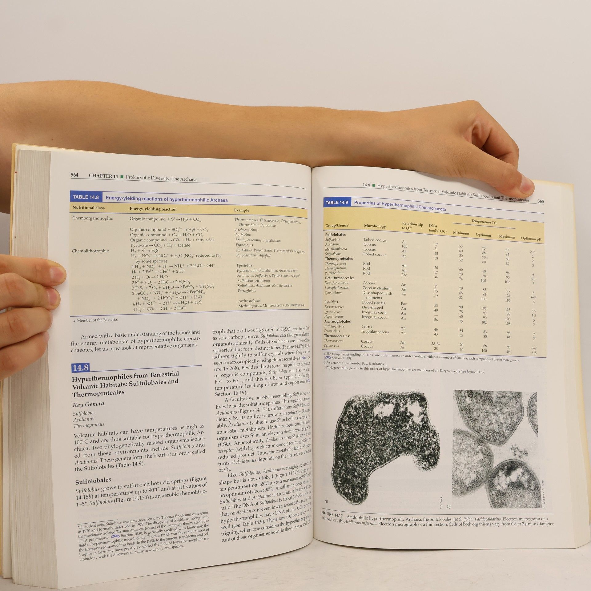 John M. Martinko Brock: Biology of Microorganisms