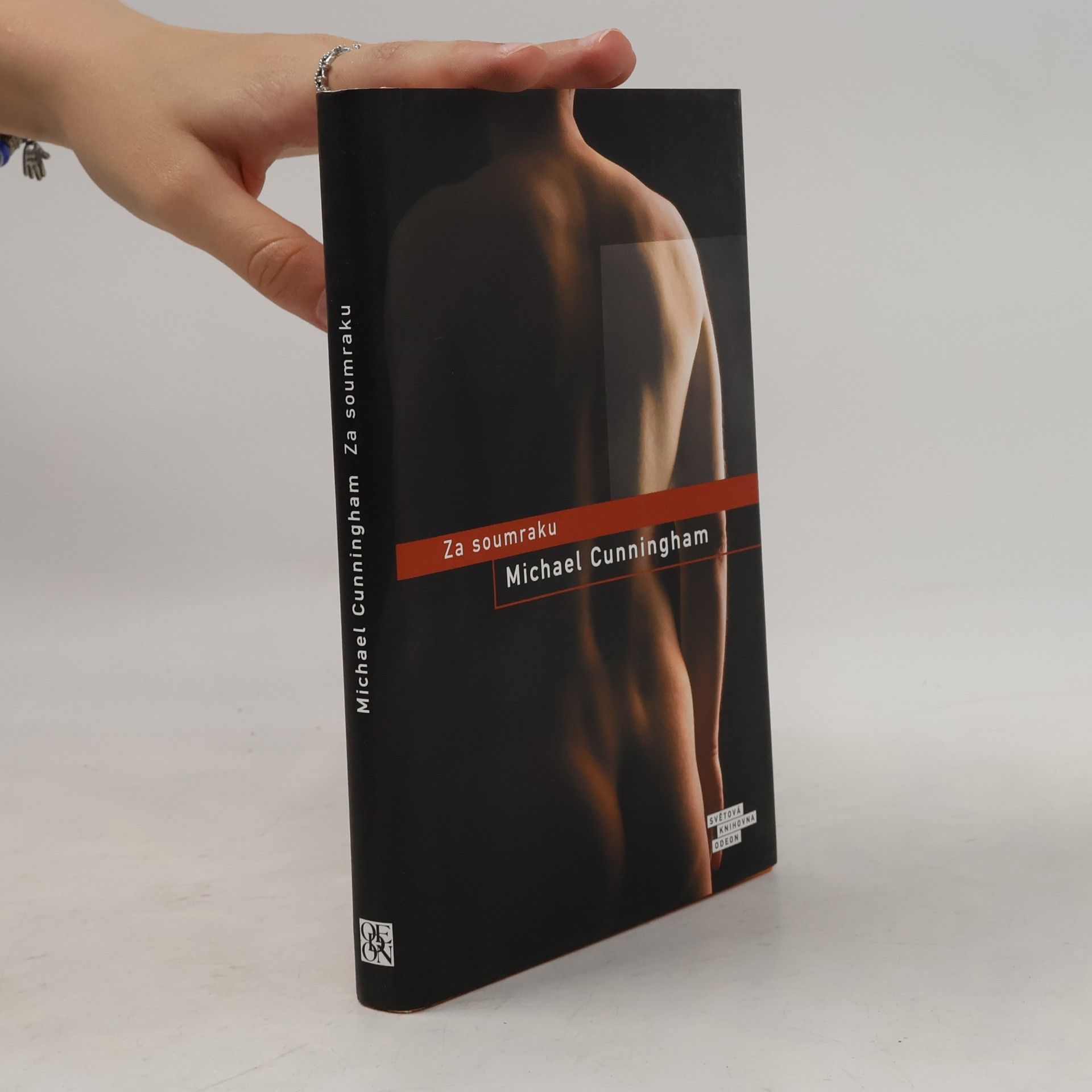 Michael Cunningham Za soumraku