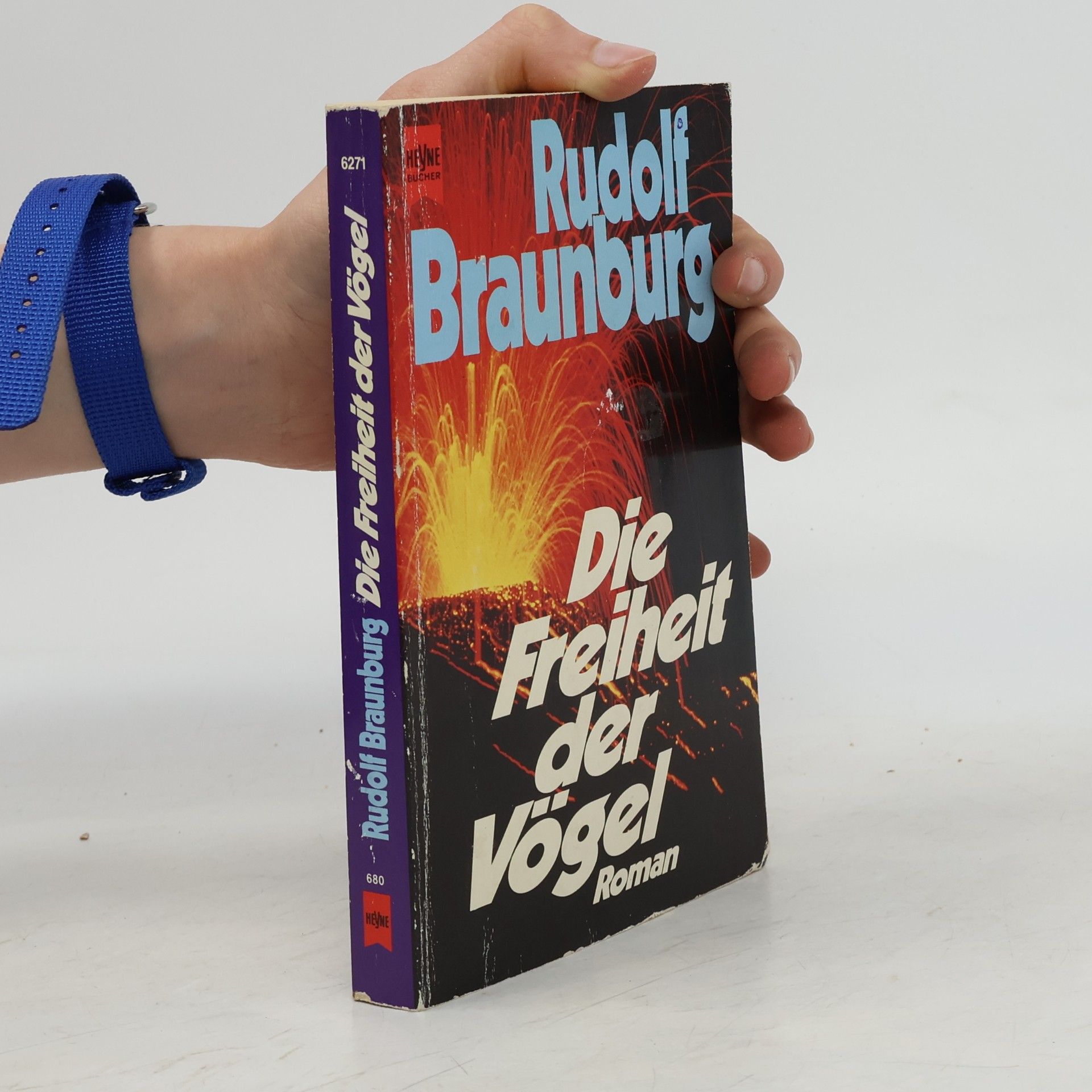 Rudolf Braunburg Die Freiheit der Vögel