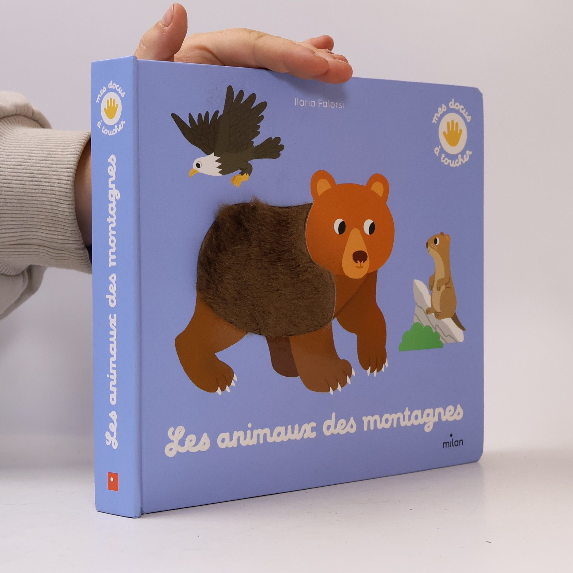 Ilaria Falorsi Mes docu à toucher: Les animaux des montagnes