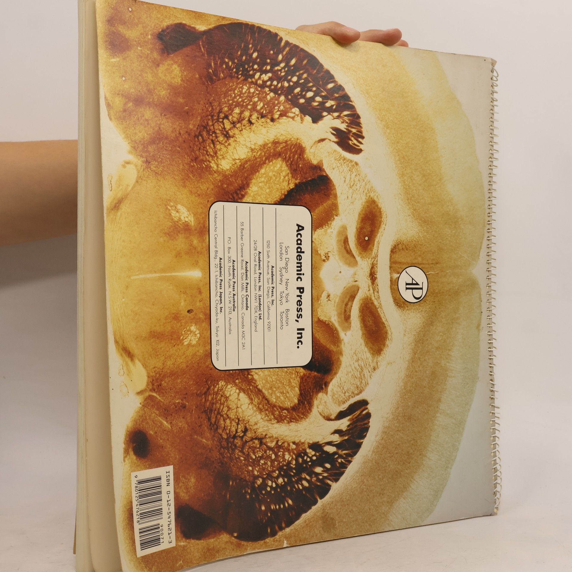 George Paxinos The Rat Brain