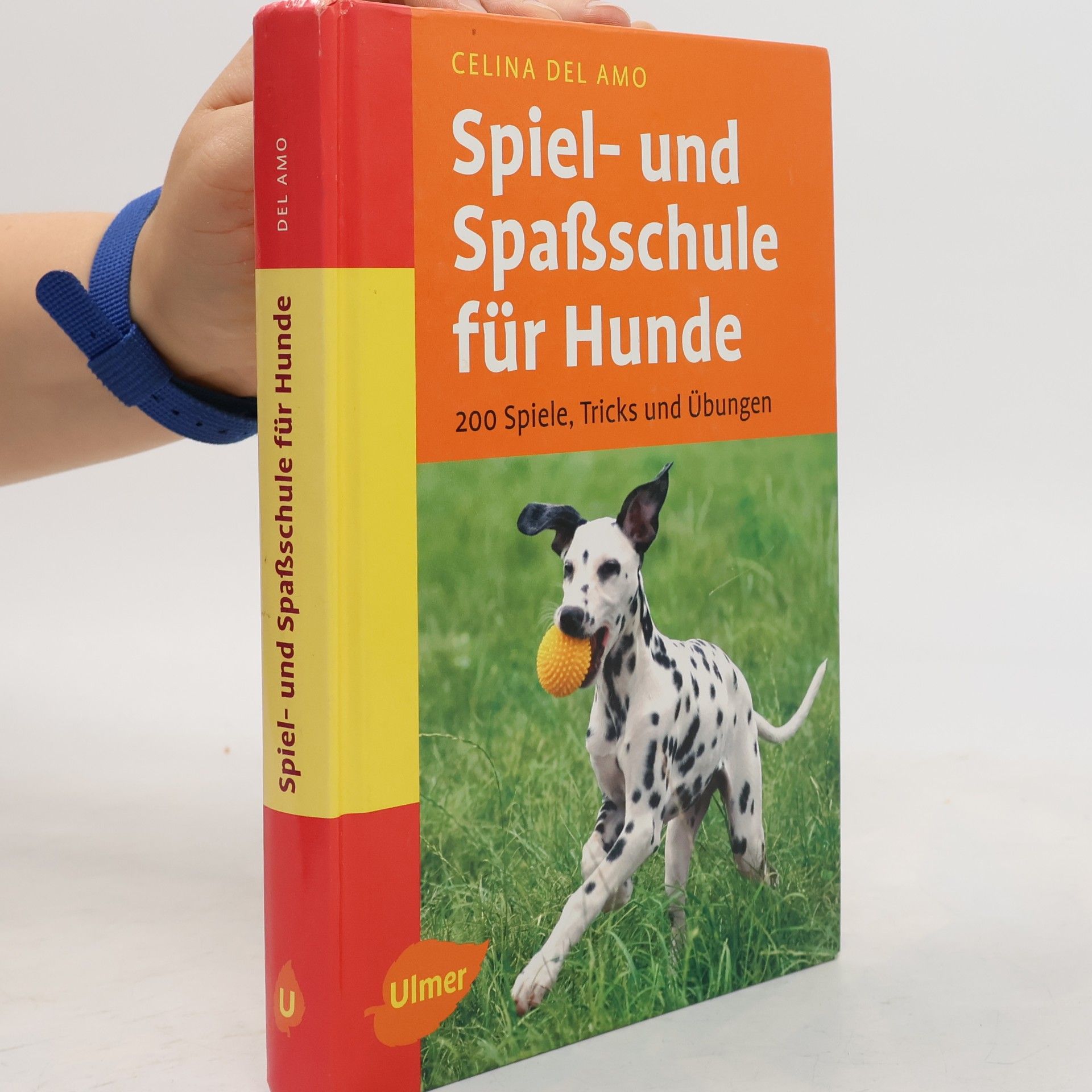 Celina Del Amo Spiel- und Spaßschule für Hunde