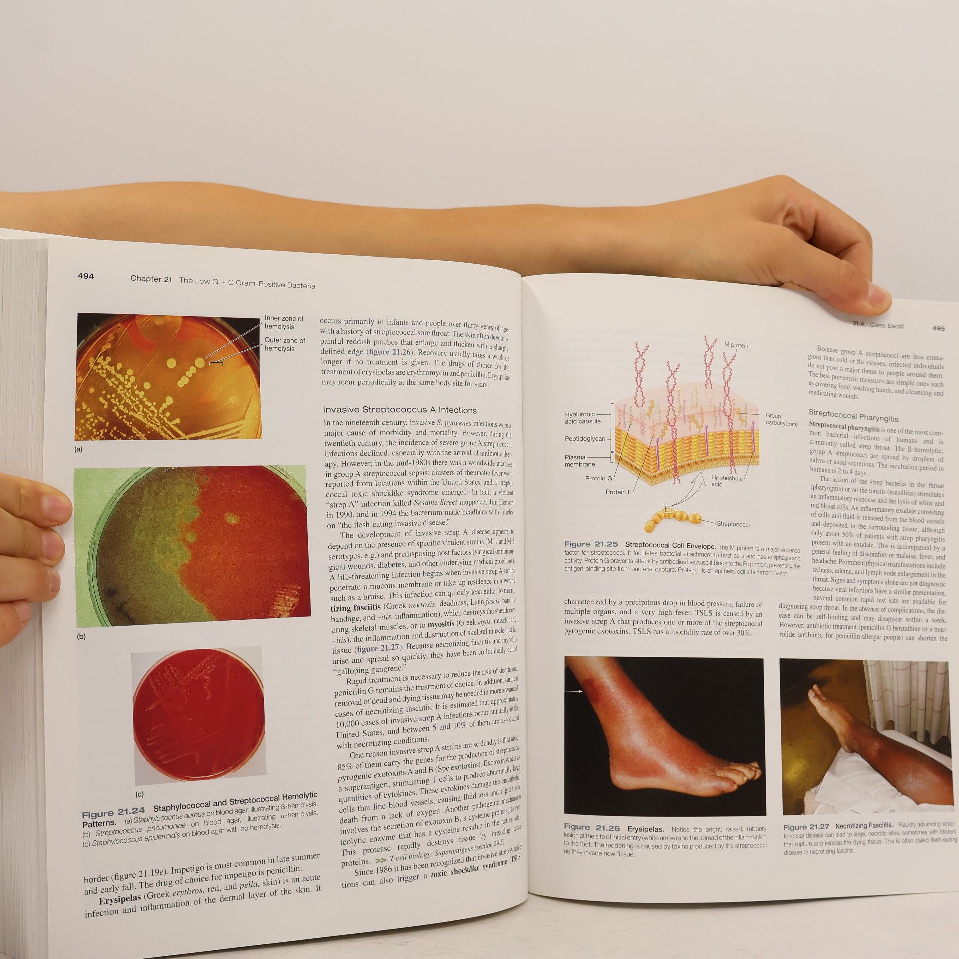 Joanne M. Willey Prescott's Principles of Microbiology - International Edition