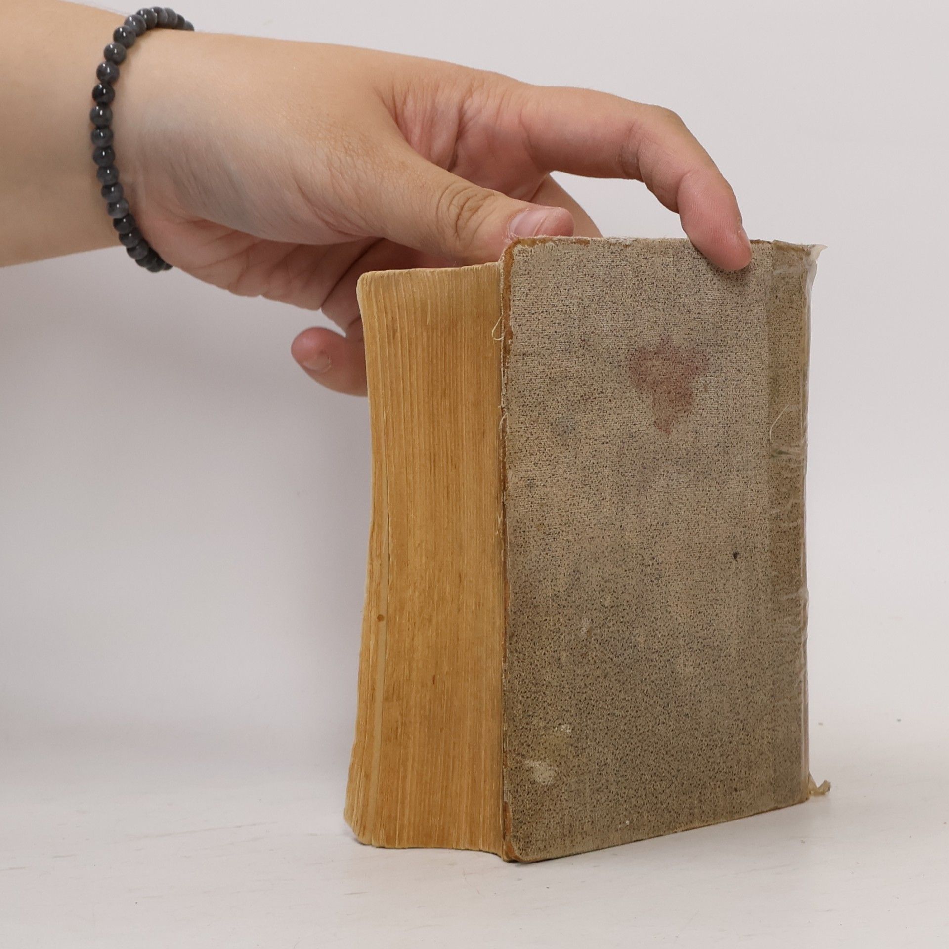 Ján Schultz Nemecko-slovenský slovník I.