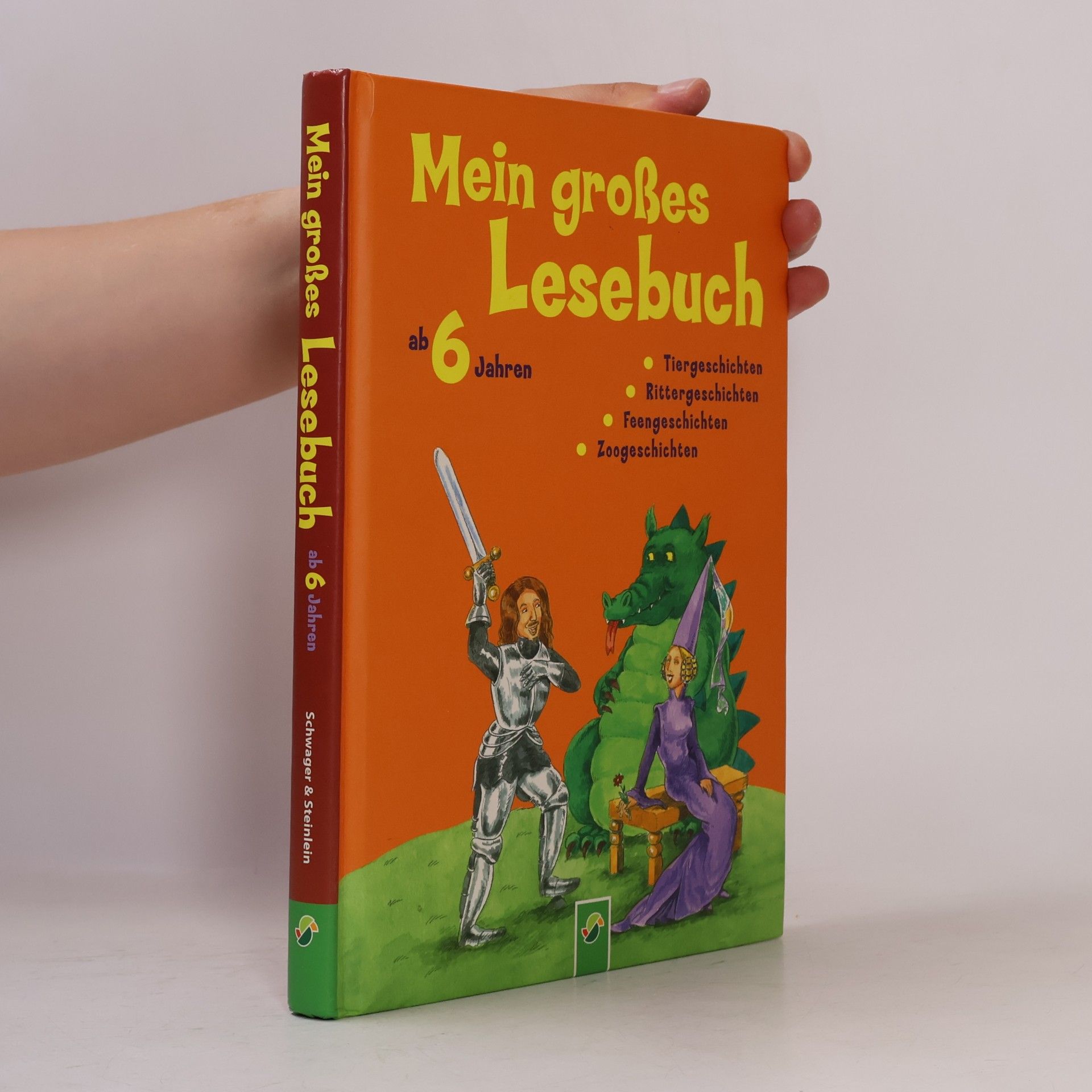 Anke Breitenborn Mein großes Lesebuch ab 6 Jahren