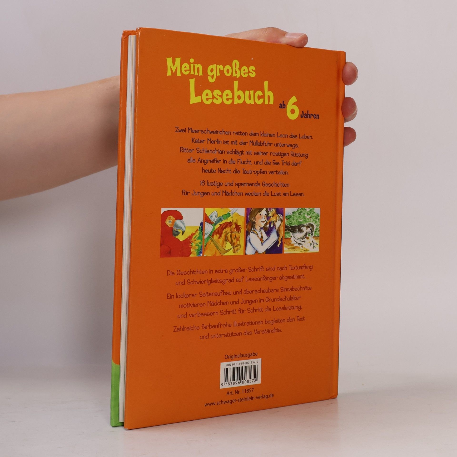 Anke Breitenborn Mein großes Lesebuch ab 6 Jahren