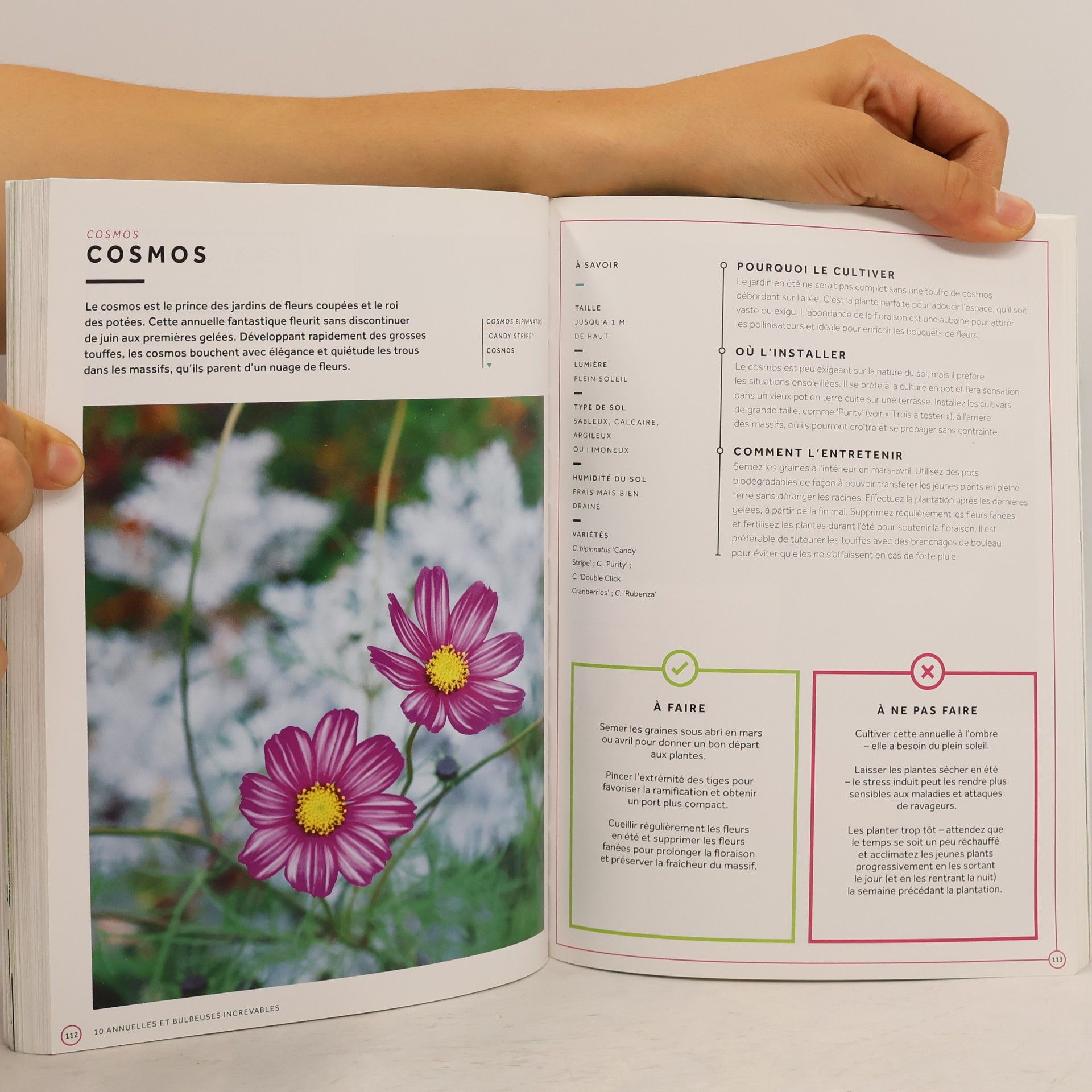 Jamie Butterworth 50 plantes pour ceux qui n'ont pas la main verte