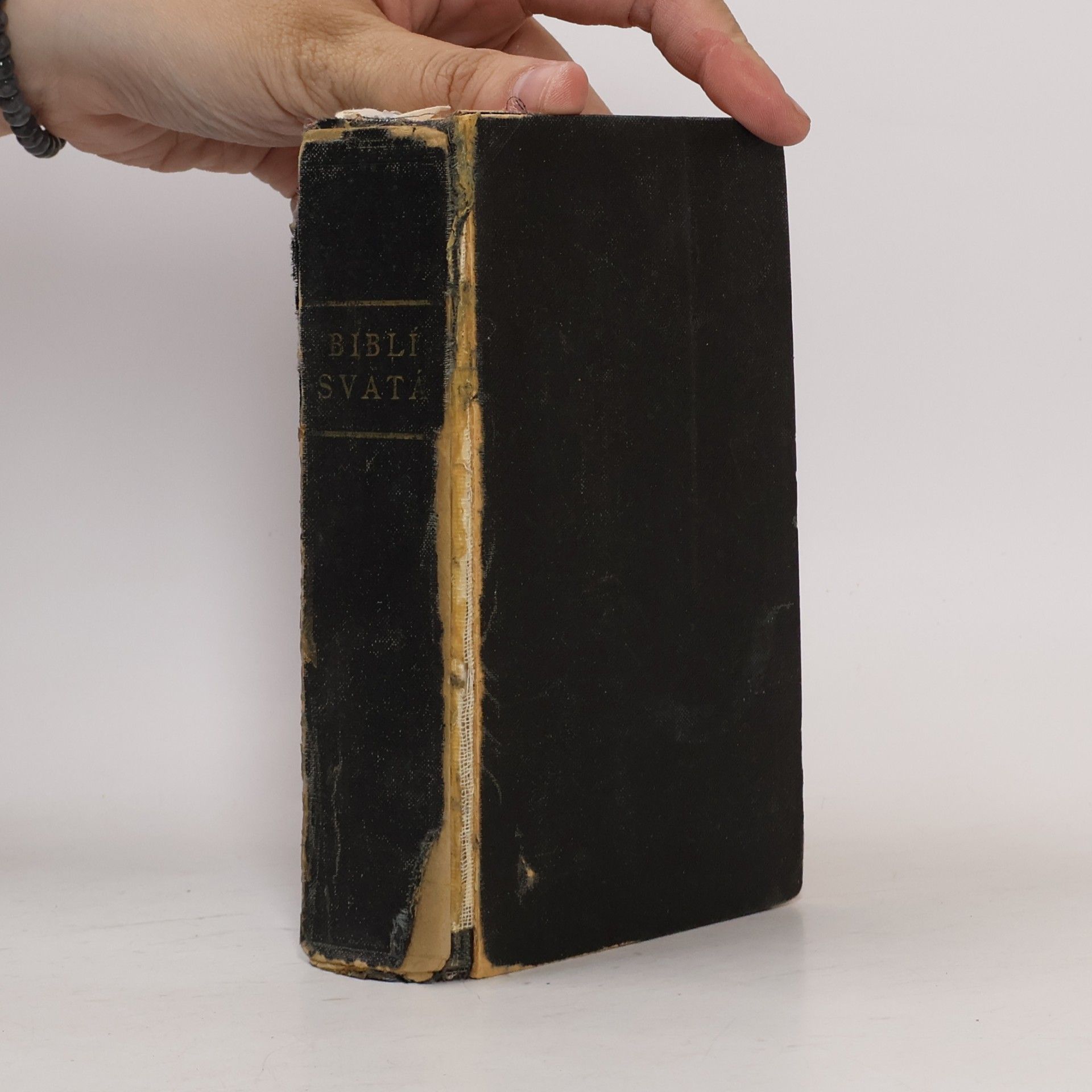 Autorenkollektiv Biblí svatá aneb Všecka svatá písma Starého i Nového zákona