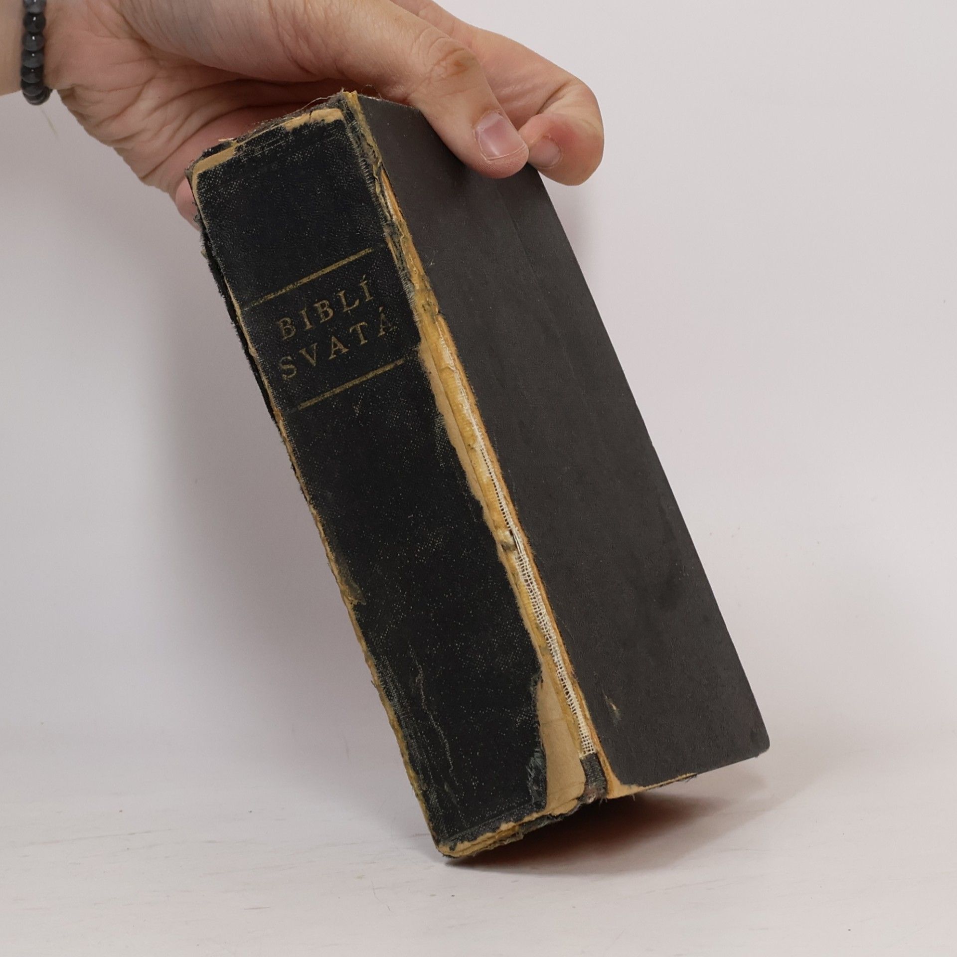 Autorenkollektiv Biblí svatá aneb Všecka svatá písma Starého i Nového zákona