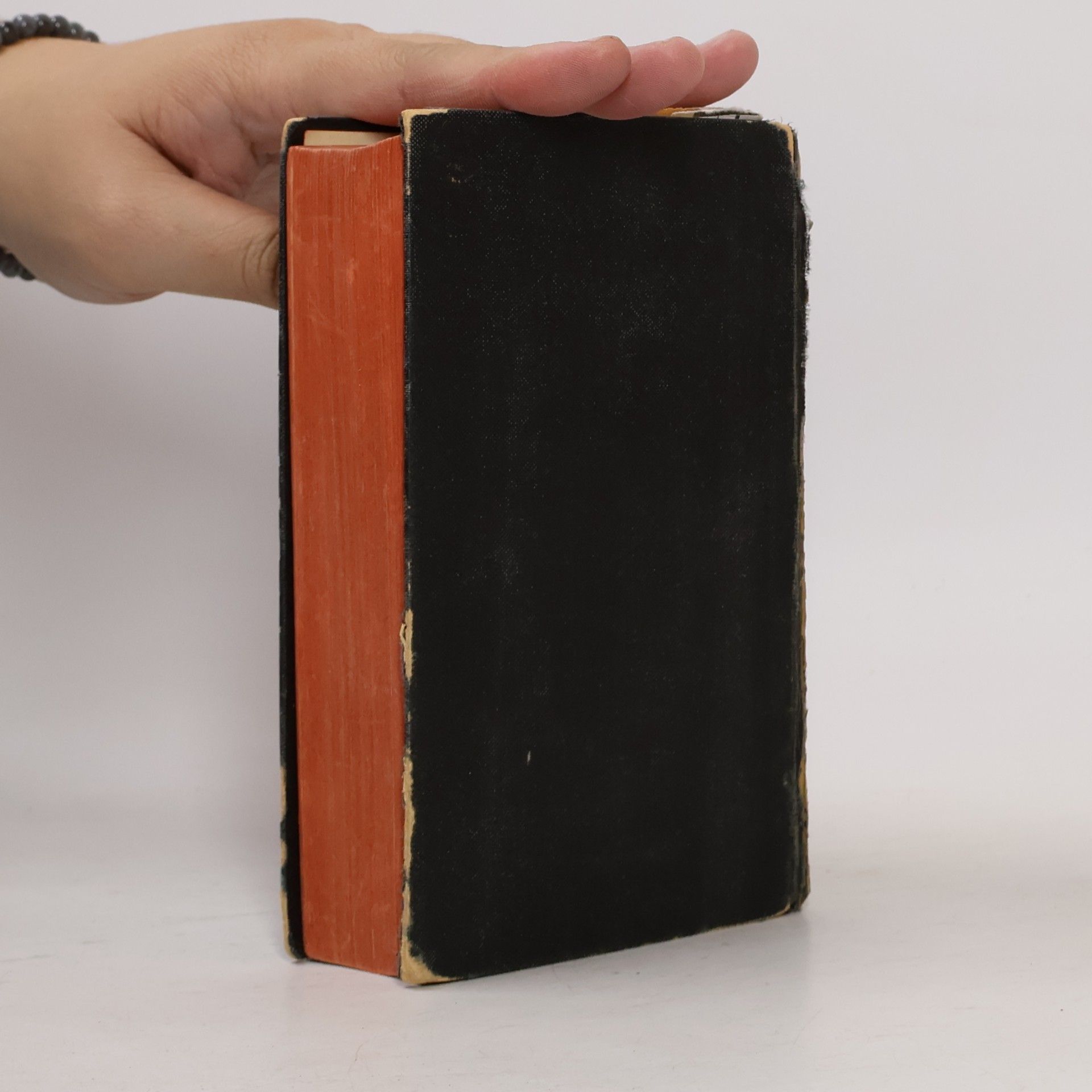 Autorenkollektiv Biblí svatá aneb Všecka svatá písma Starého i Nového zákona