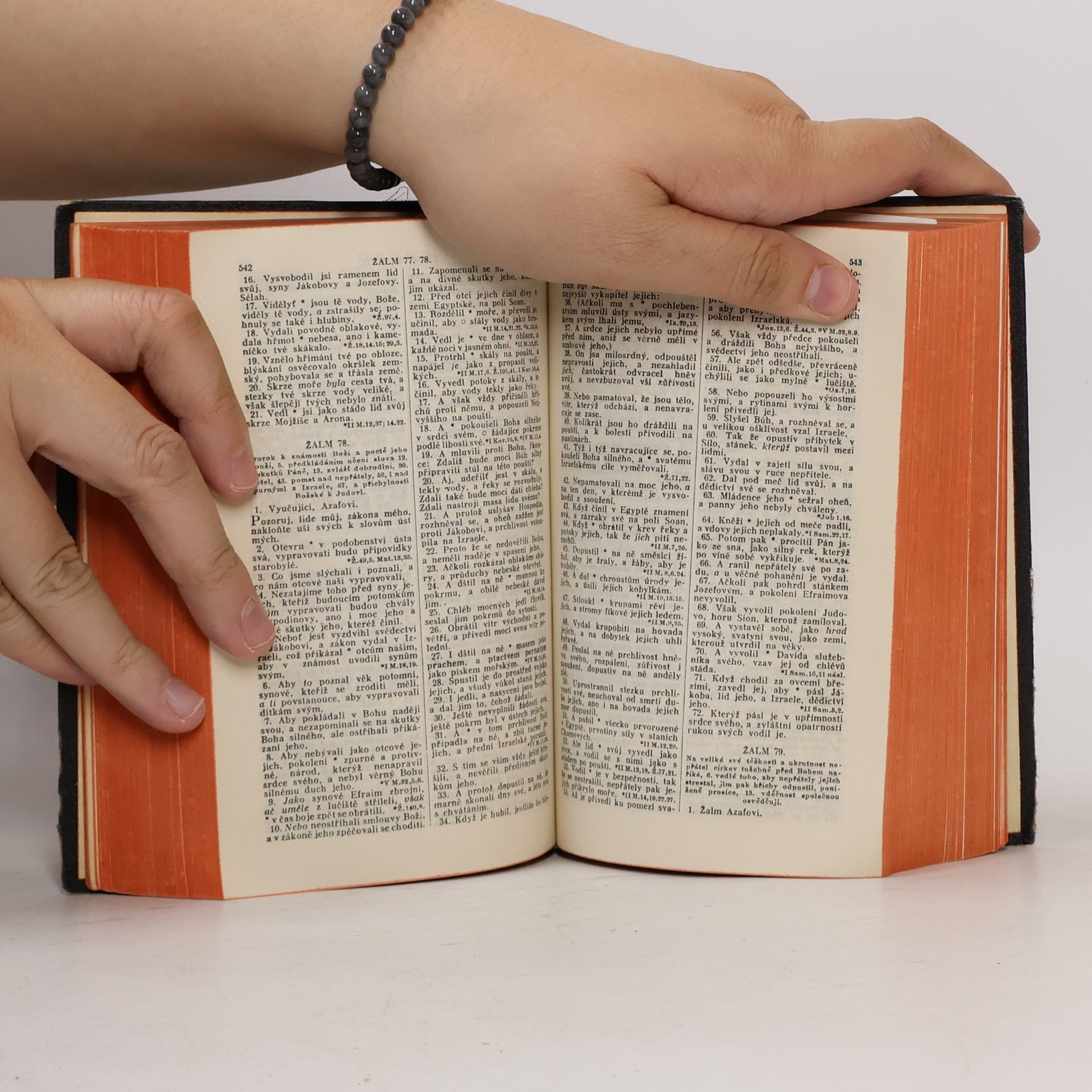 Autorenkollektiv Biblí svatá aneb Všecka svatá písma Starého i Nového zákona