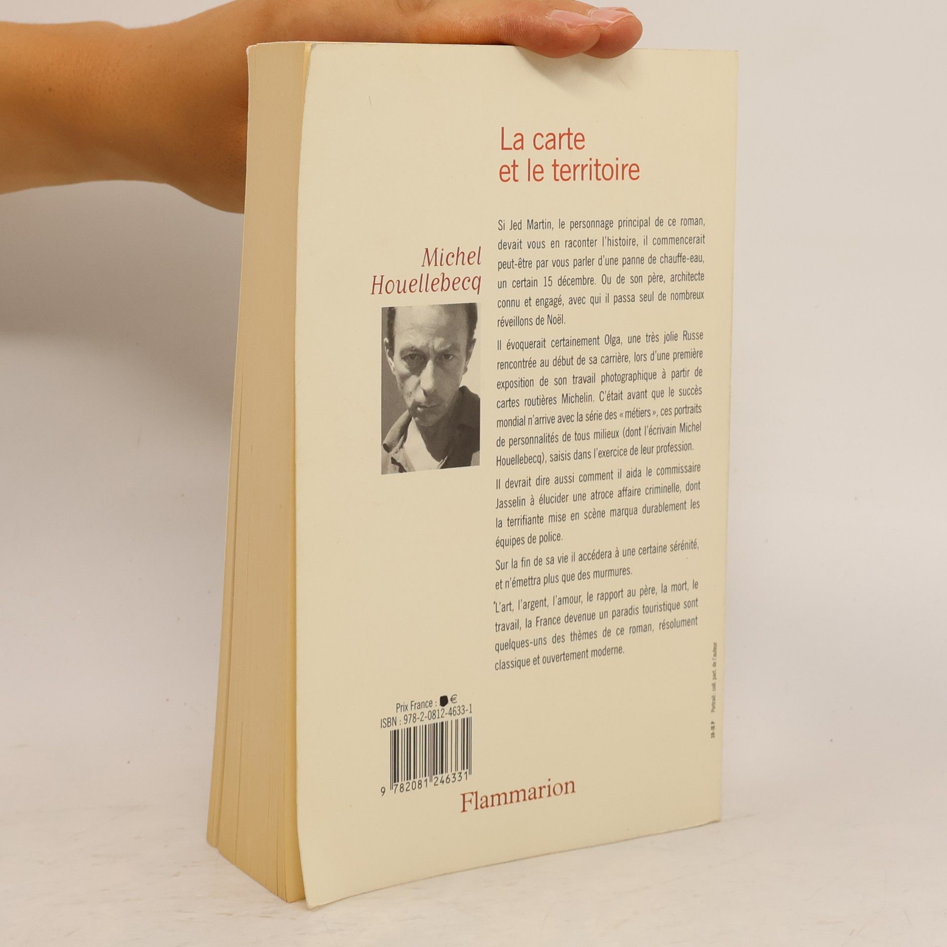 Michel Houellebecq La carte et le territoire