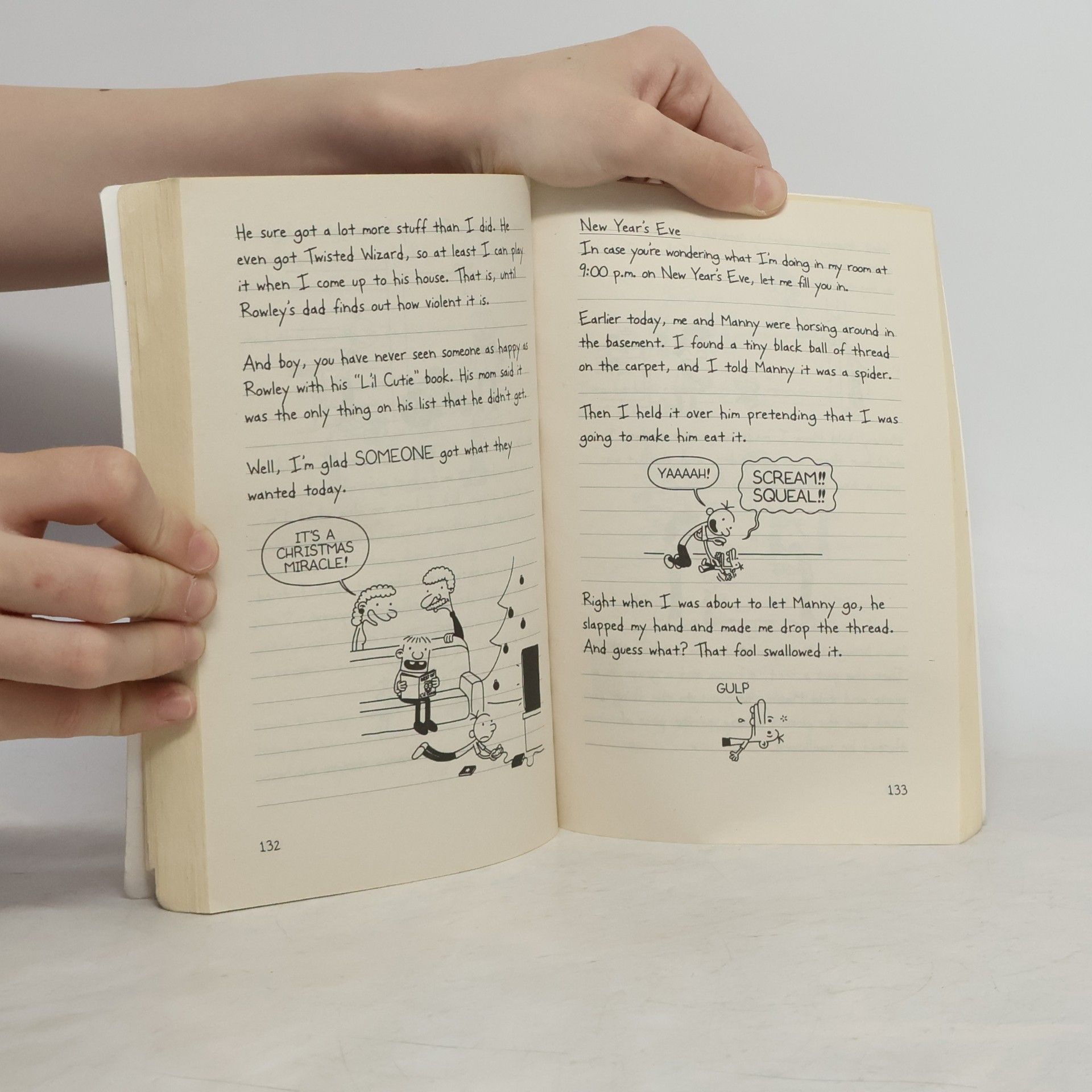 Jeff Kinney Diary of a Wimpy Kid 1