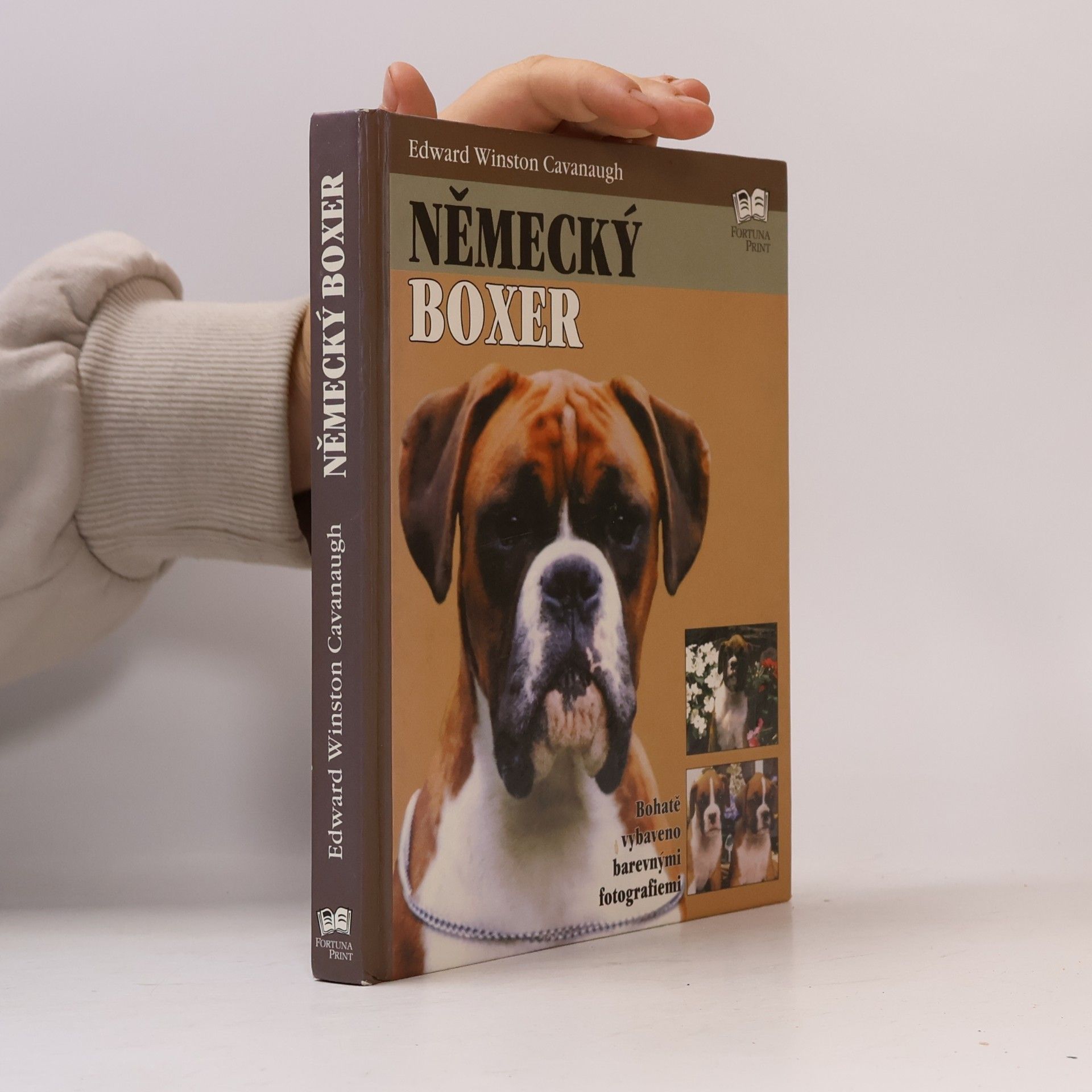 Edward Winston Cavanaugh Německý boxer