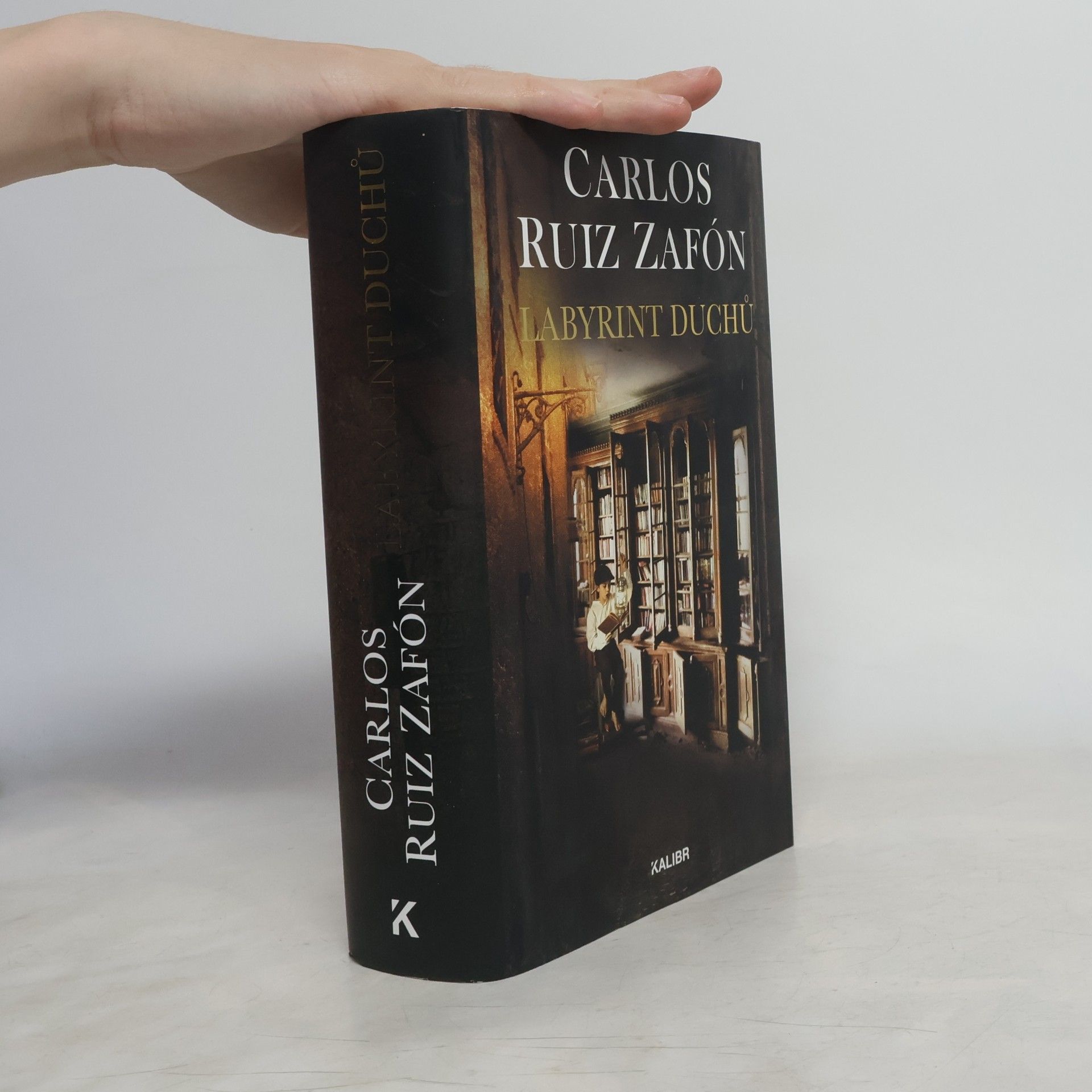 Carlos Ruiz Zafón Labyrint duchů