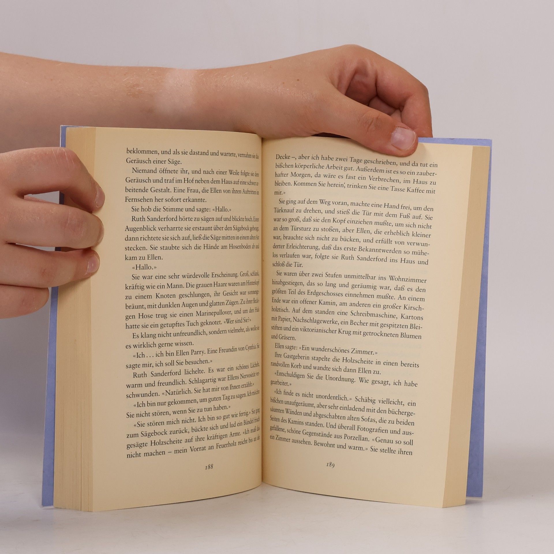 Rosamunde Pilcher Das blaue Zimmer