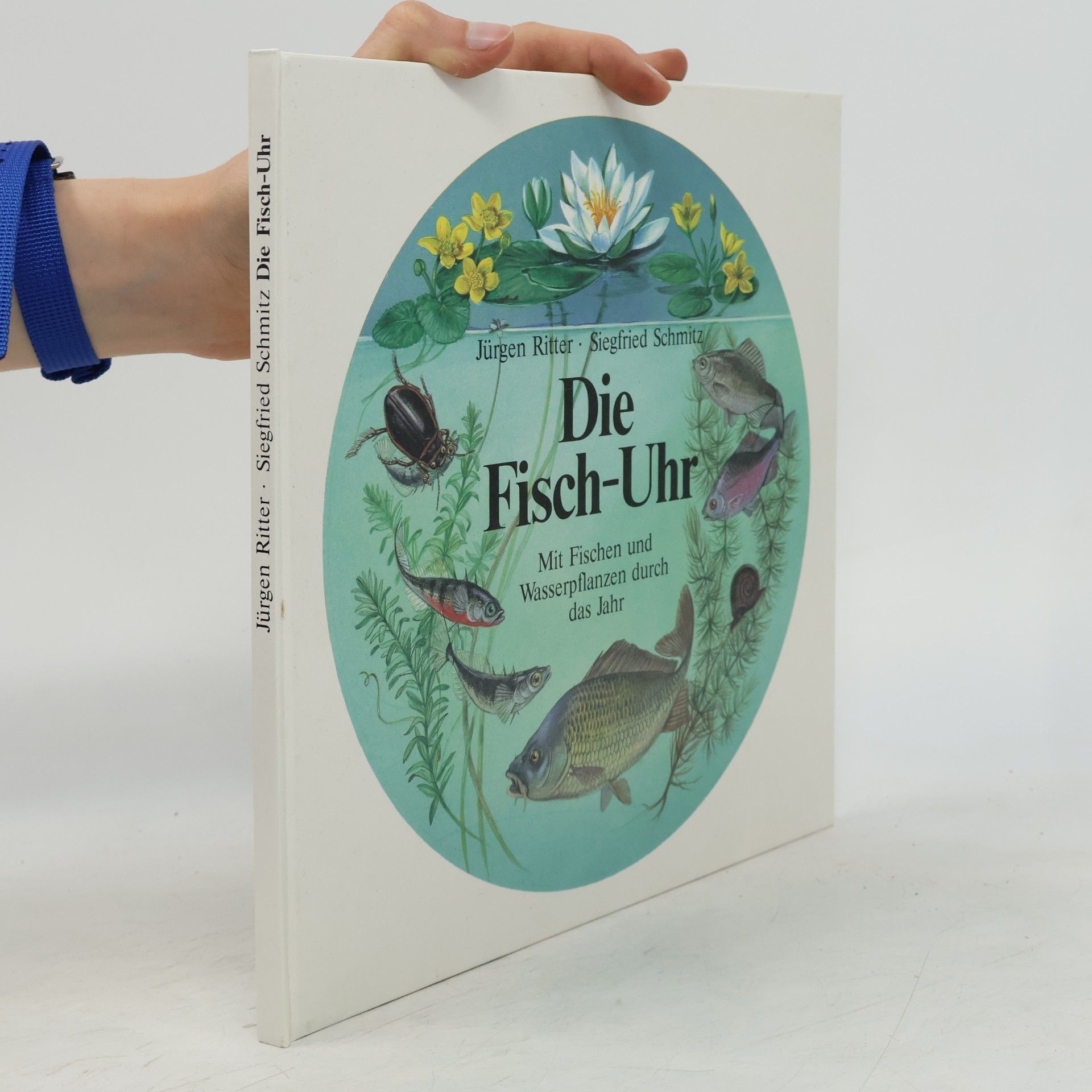 Die Fisch-Uhr