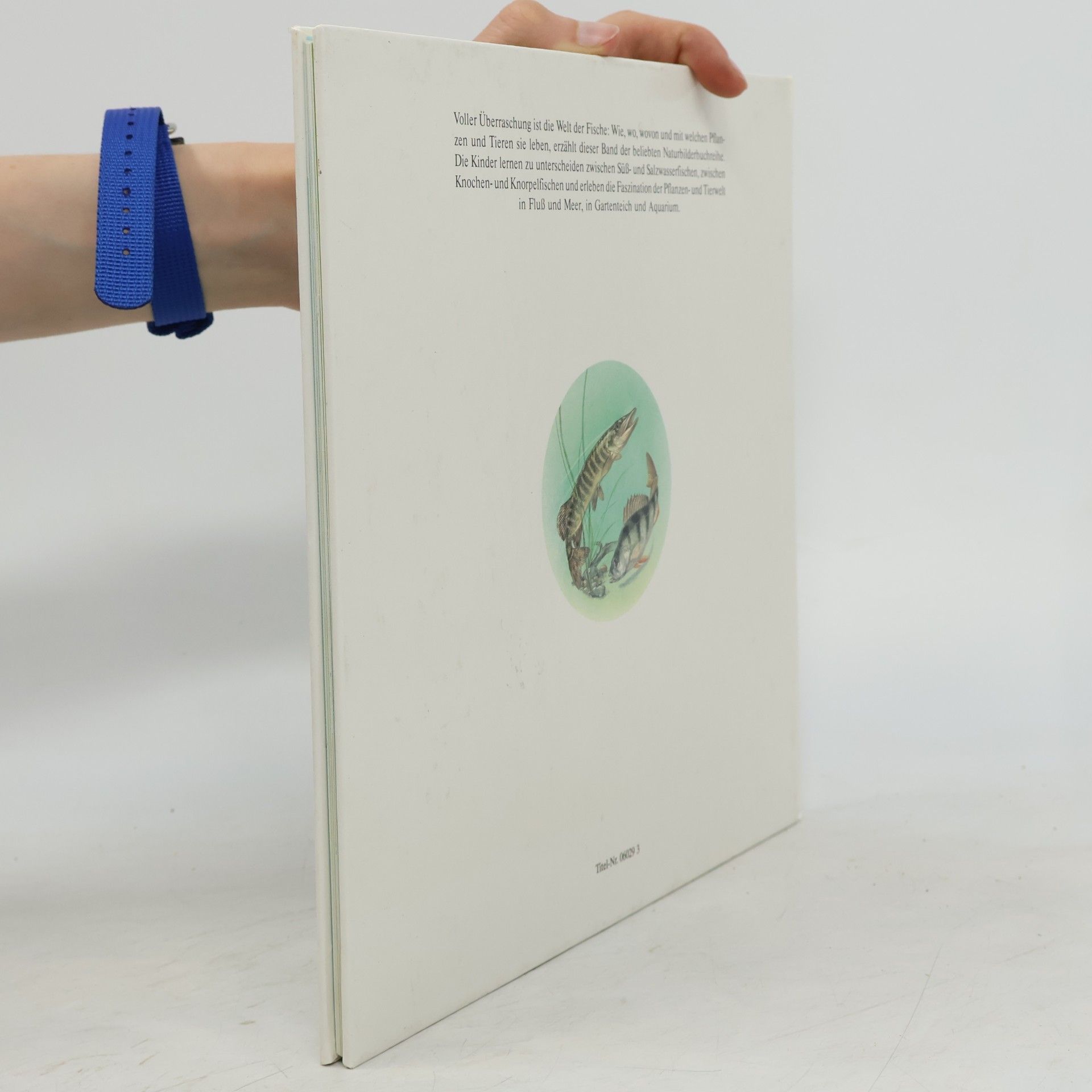 Jürgen Ritter Die Fisch-Uhr