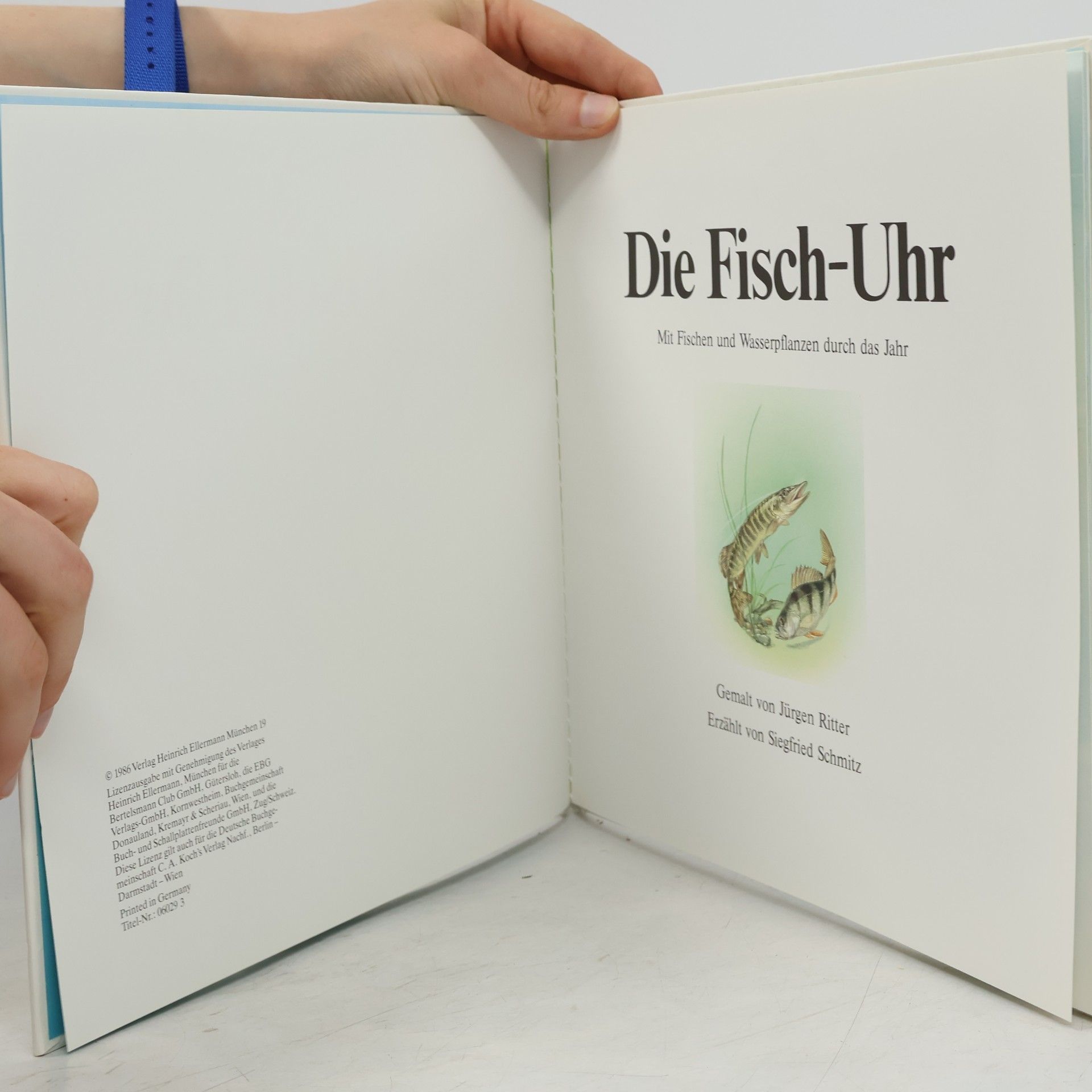 Jürgen Ritter Die Fisch-Uhr