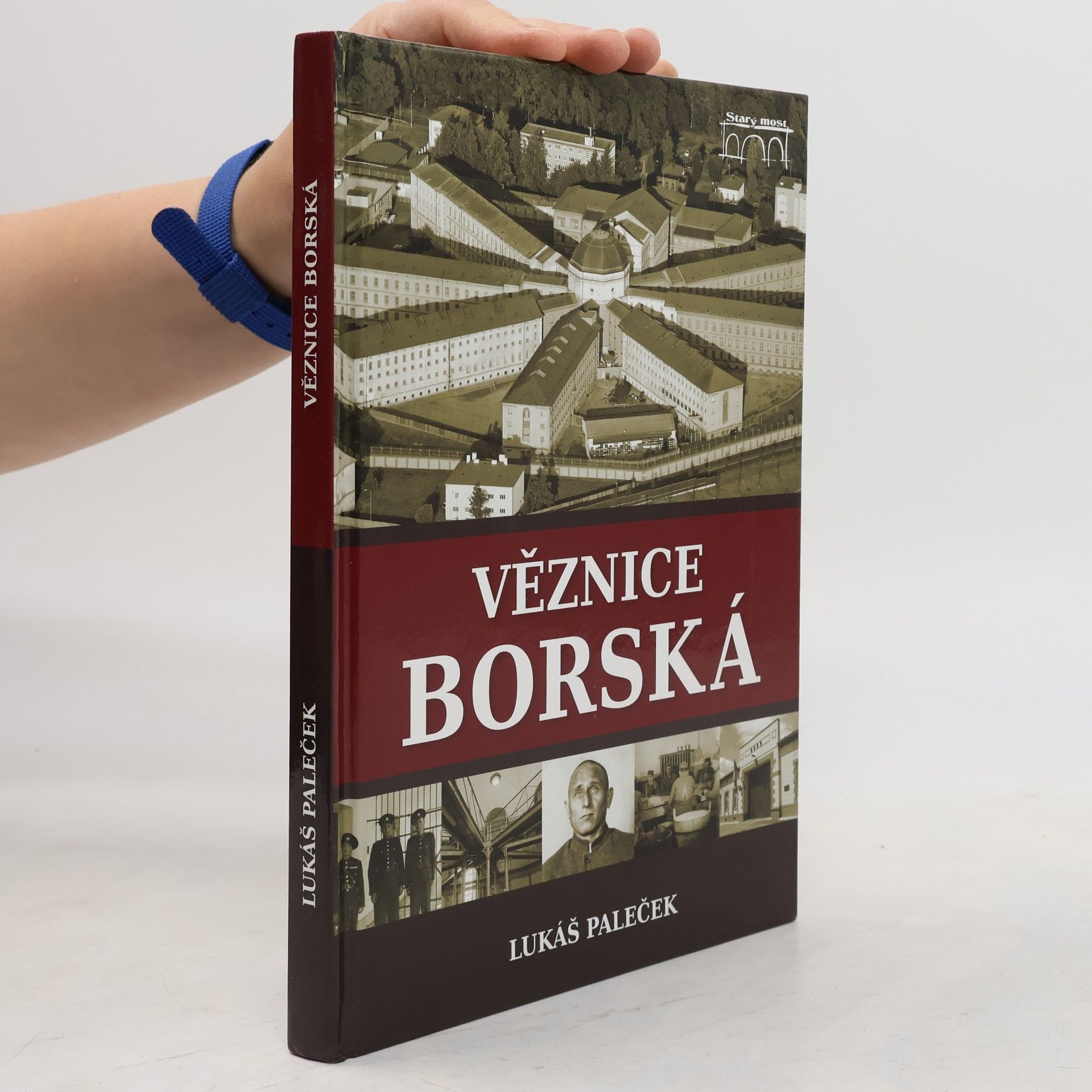 Lukáš Paleček Věznice borská
