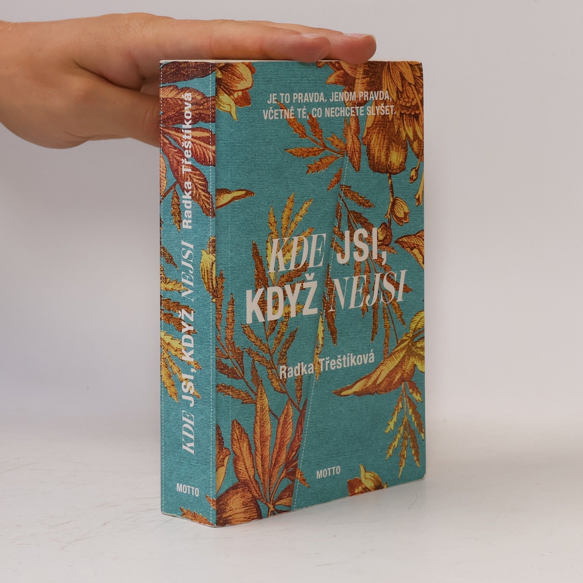 Radka Třeštíková Kde jsi, když nejsi