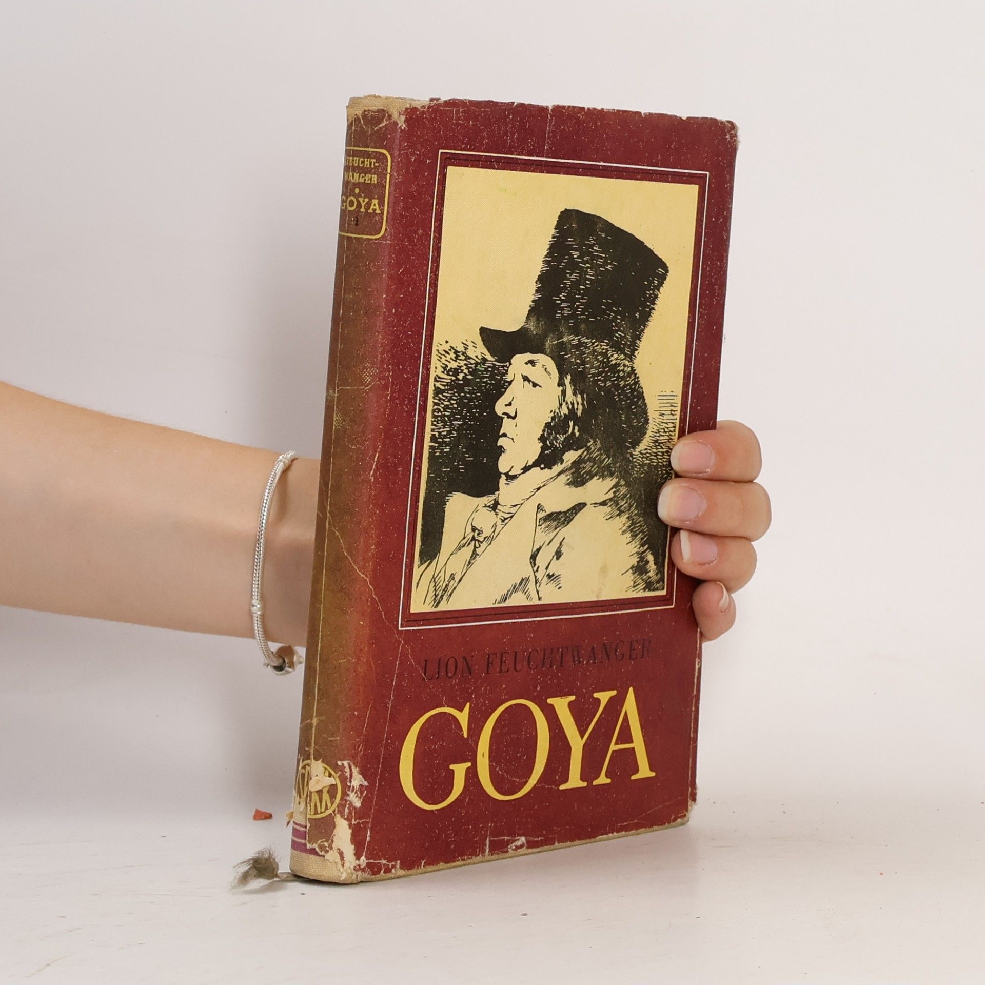 Lion Feuchtwanger Goya 1