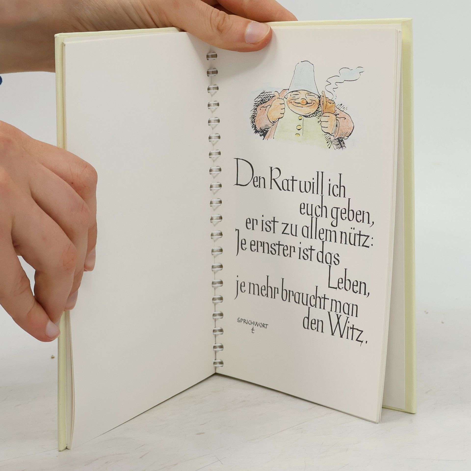 Kolektiv autorů Quellen fröhlichen Leichtsinns