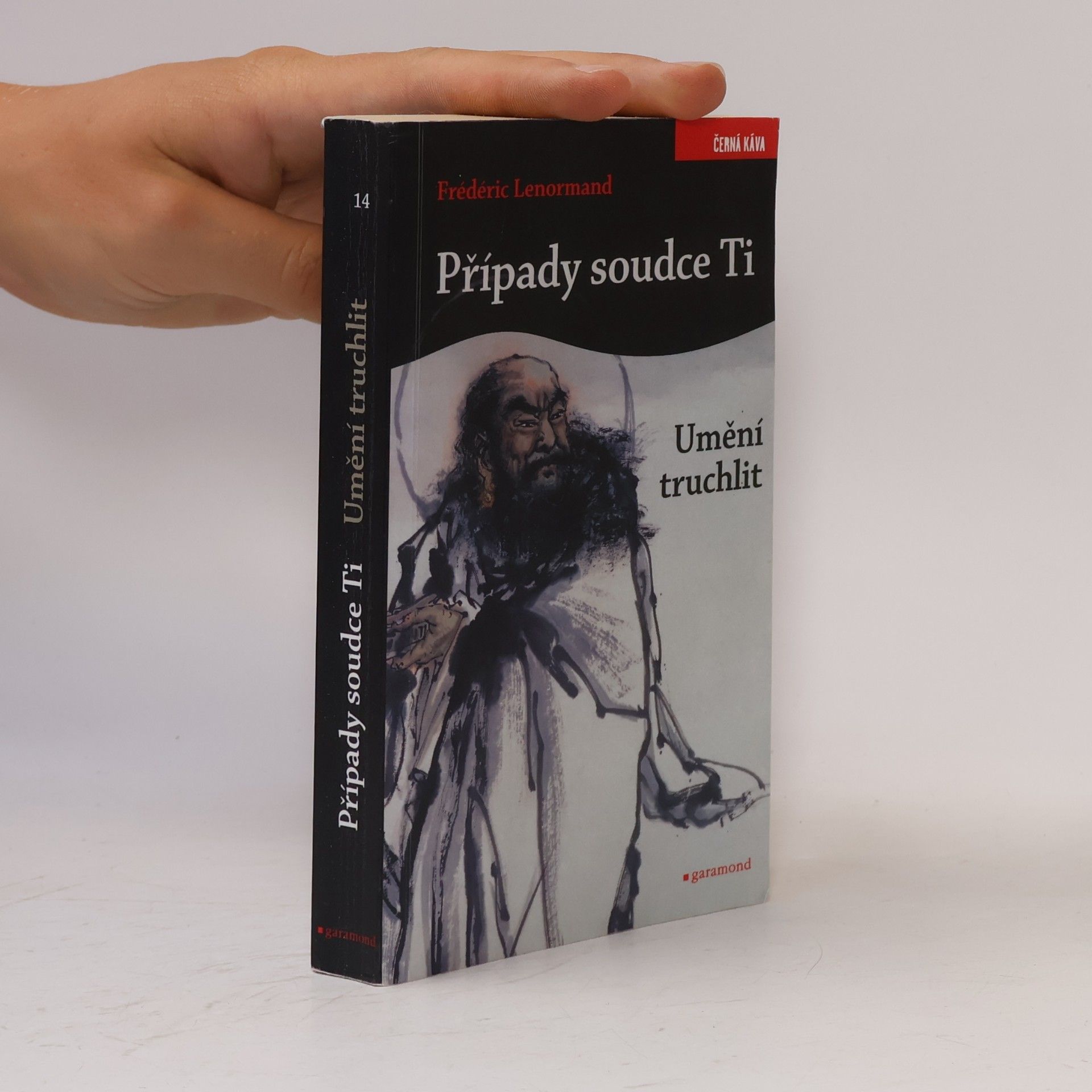 Frédéric Lenormand Případy soudce Ti. Umění truchlit