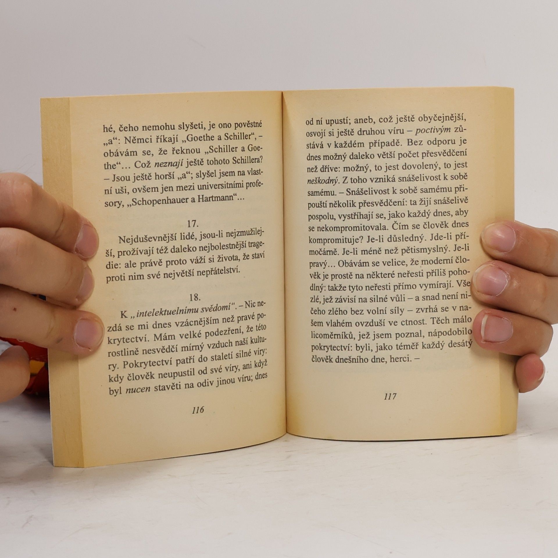 Friedrich Nietzsche Soumrak model, čili, Jak se filosofuje kladivem
