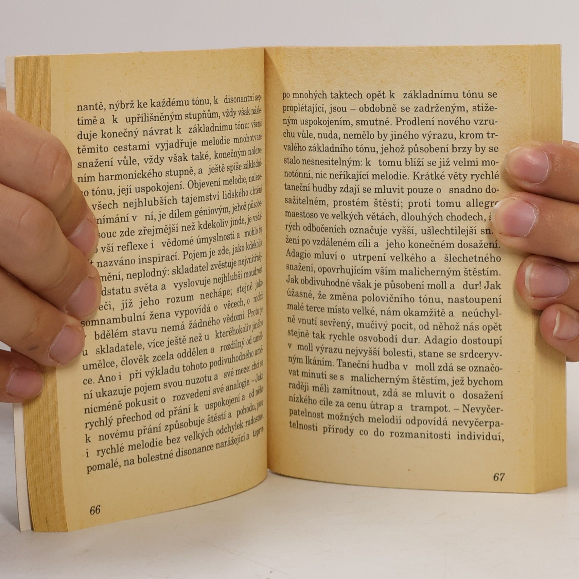 Arthur Schopenhauer Génius, umění, láska, světec