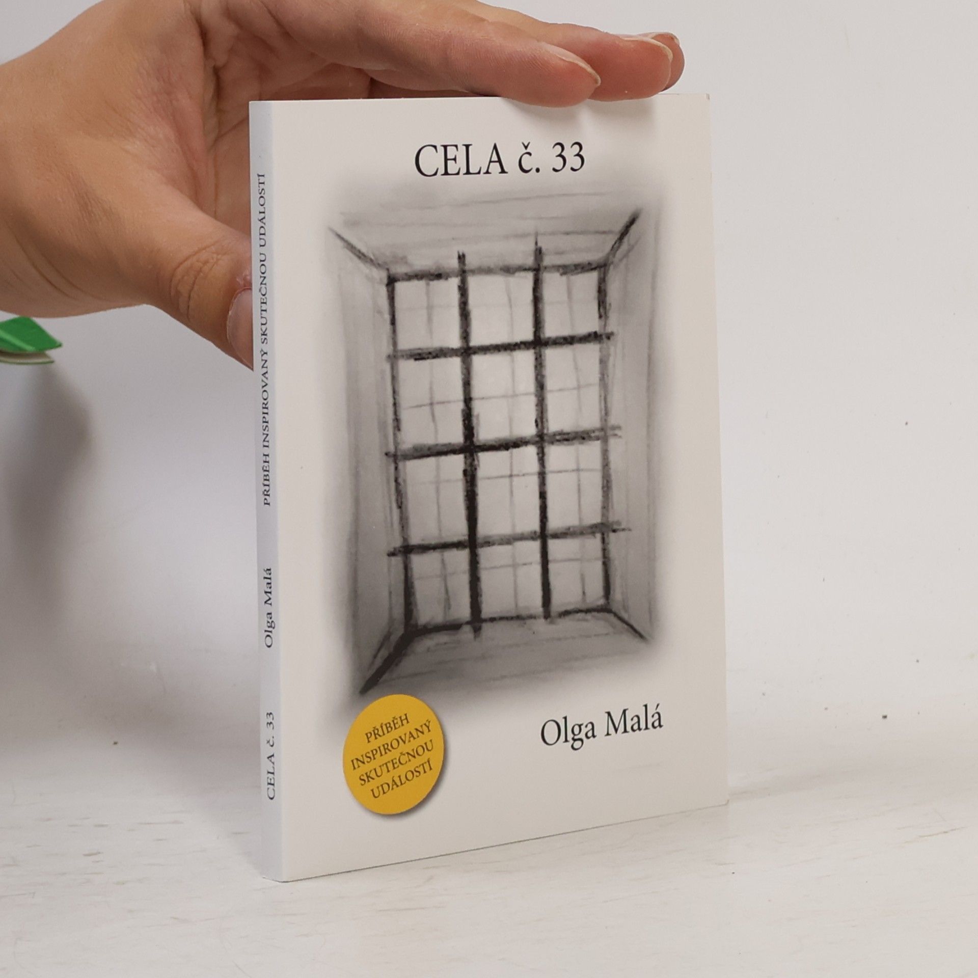 Cela č. 33 : příběh inspirovaný skutečnou událostí