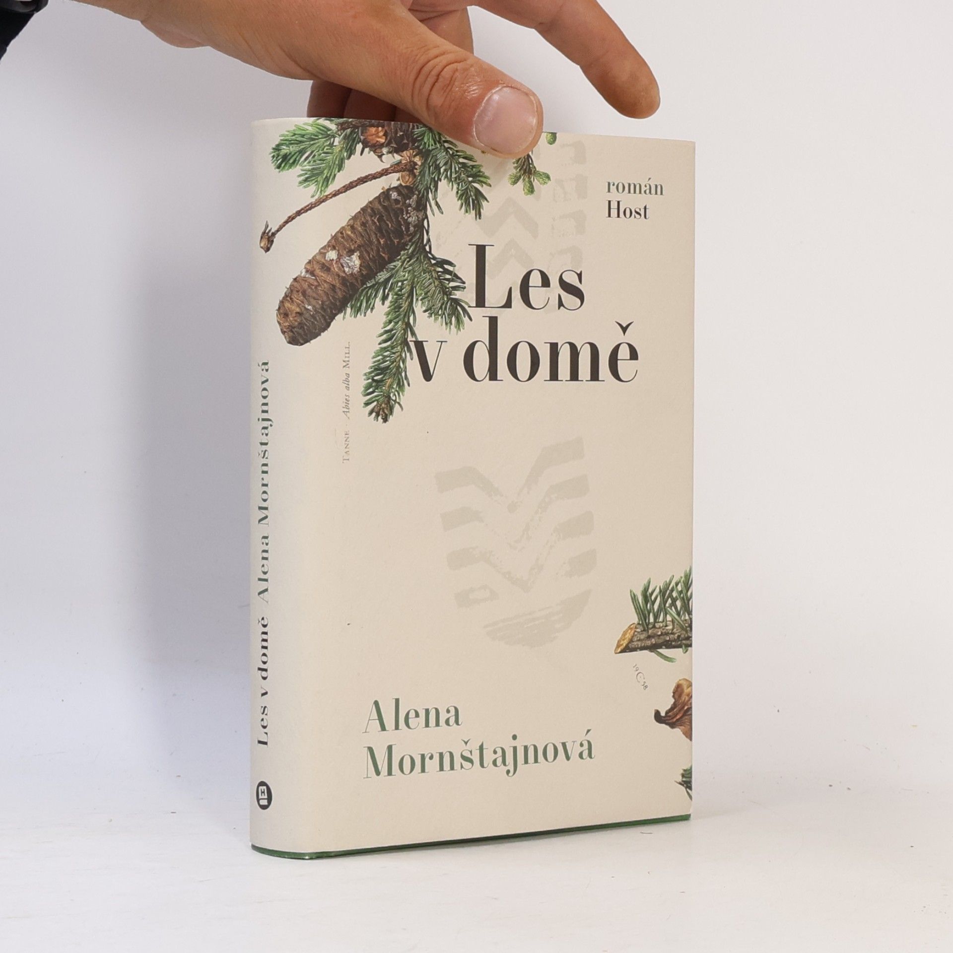 Alena Mornštajnová Les v domě