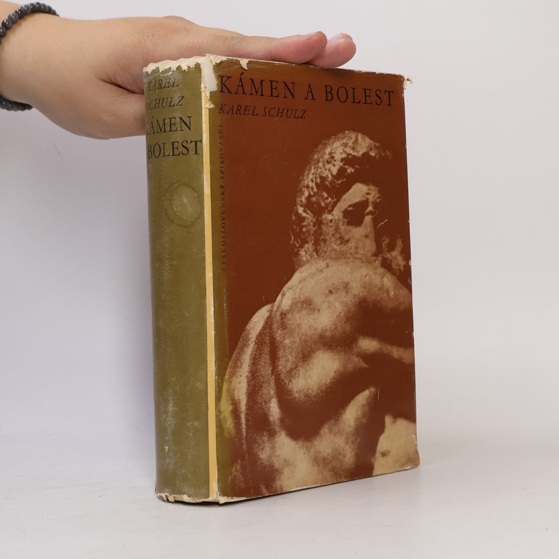 Karel Schulz Kámen a bolest