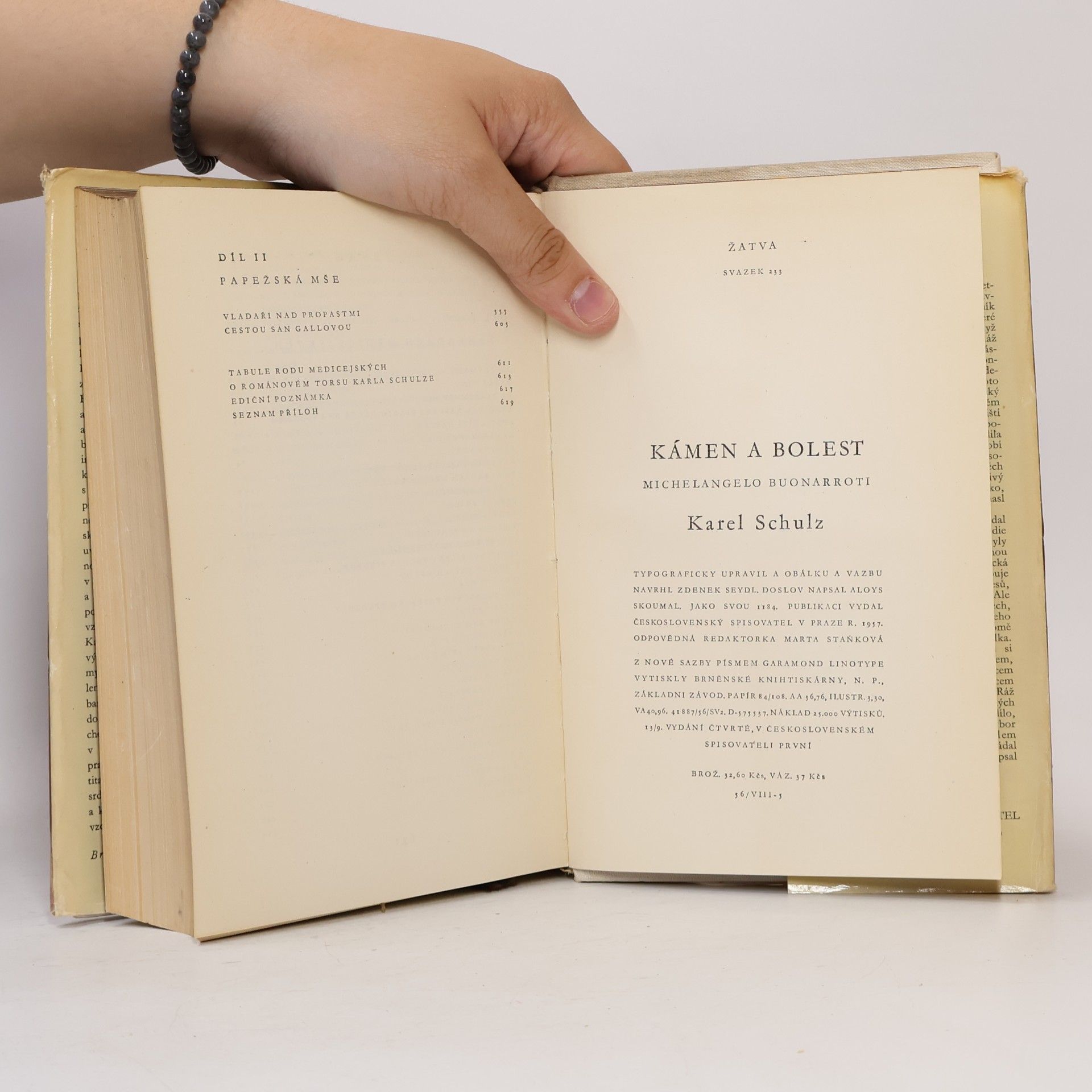 Karel Schulz Kámen a bolest