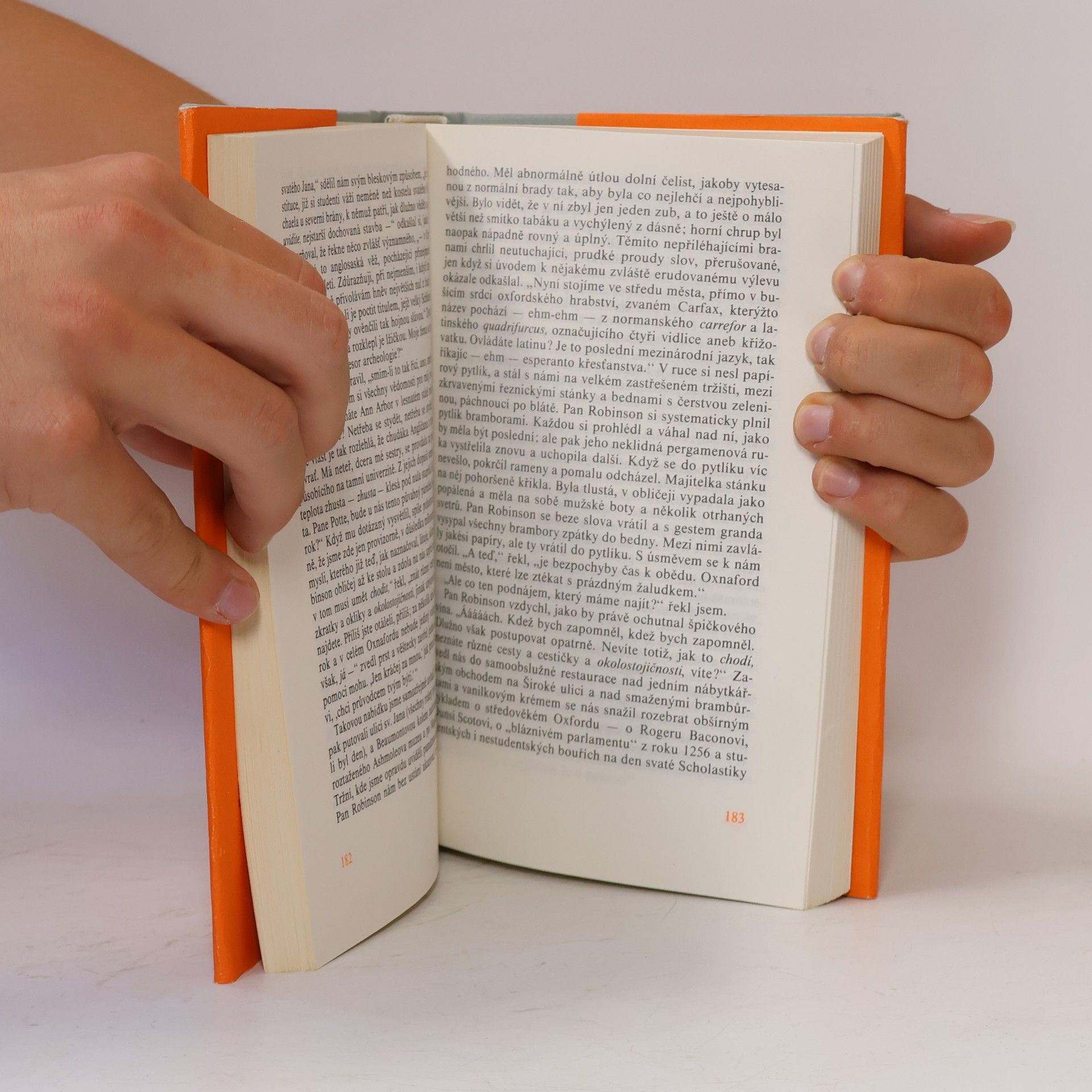John Updike Milenci a manželé