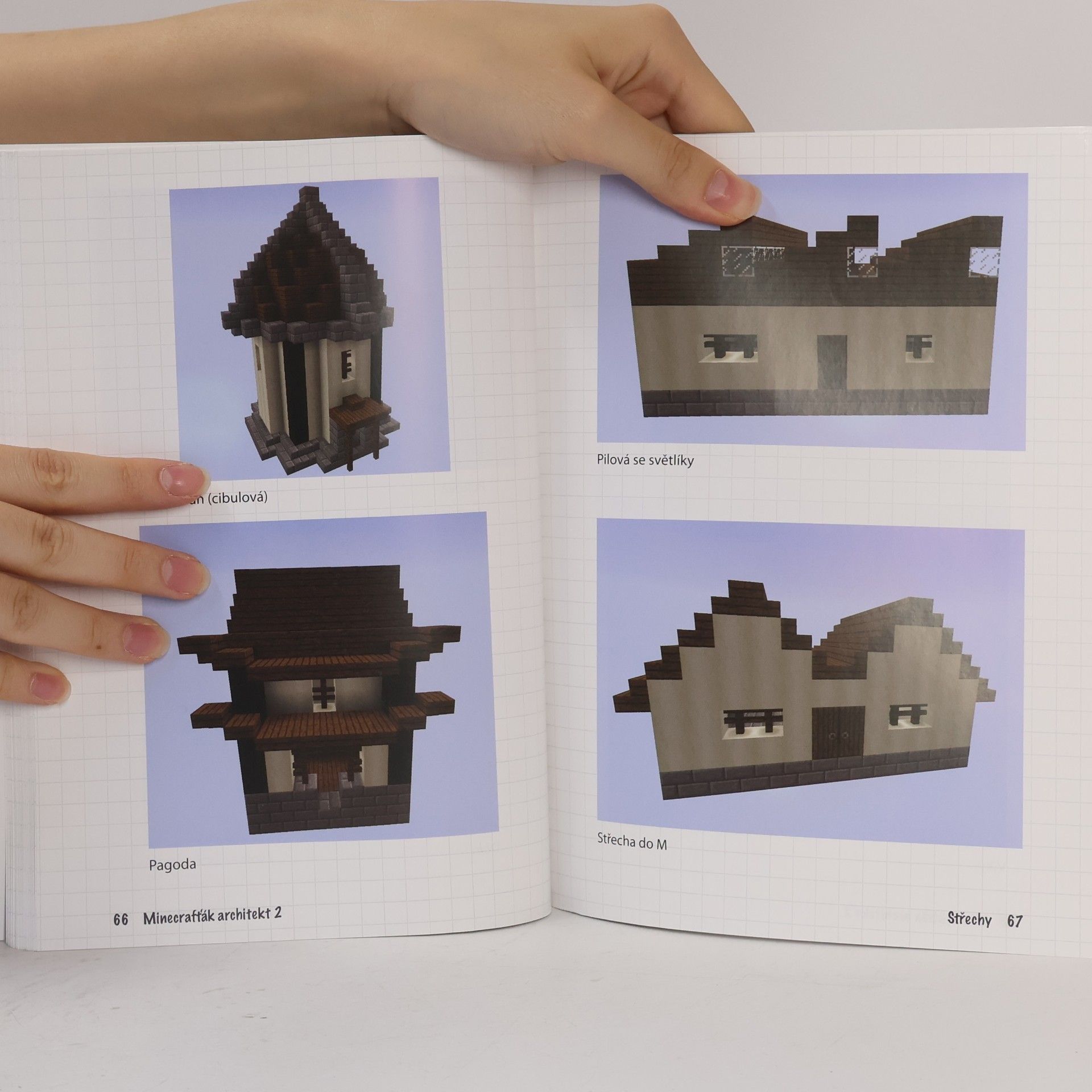 Megan Miller Minecrafťák architekt 2
