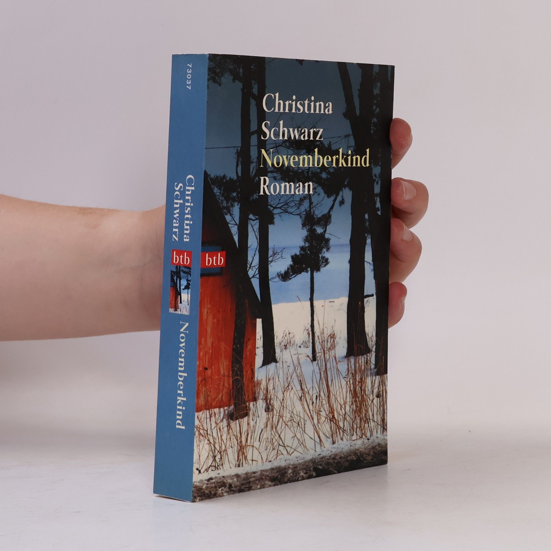 Christina Schwarz Novemberkind