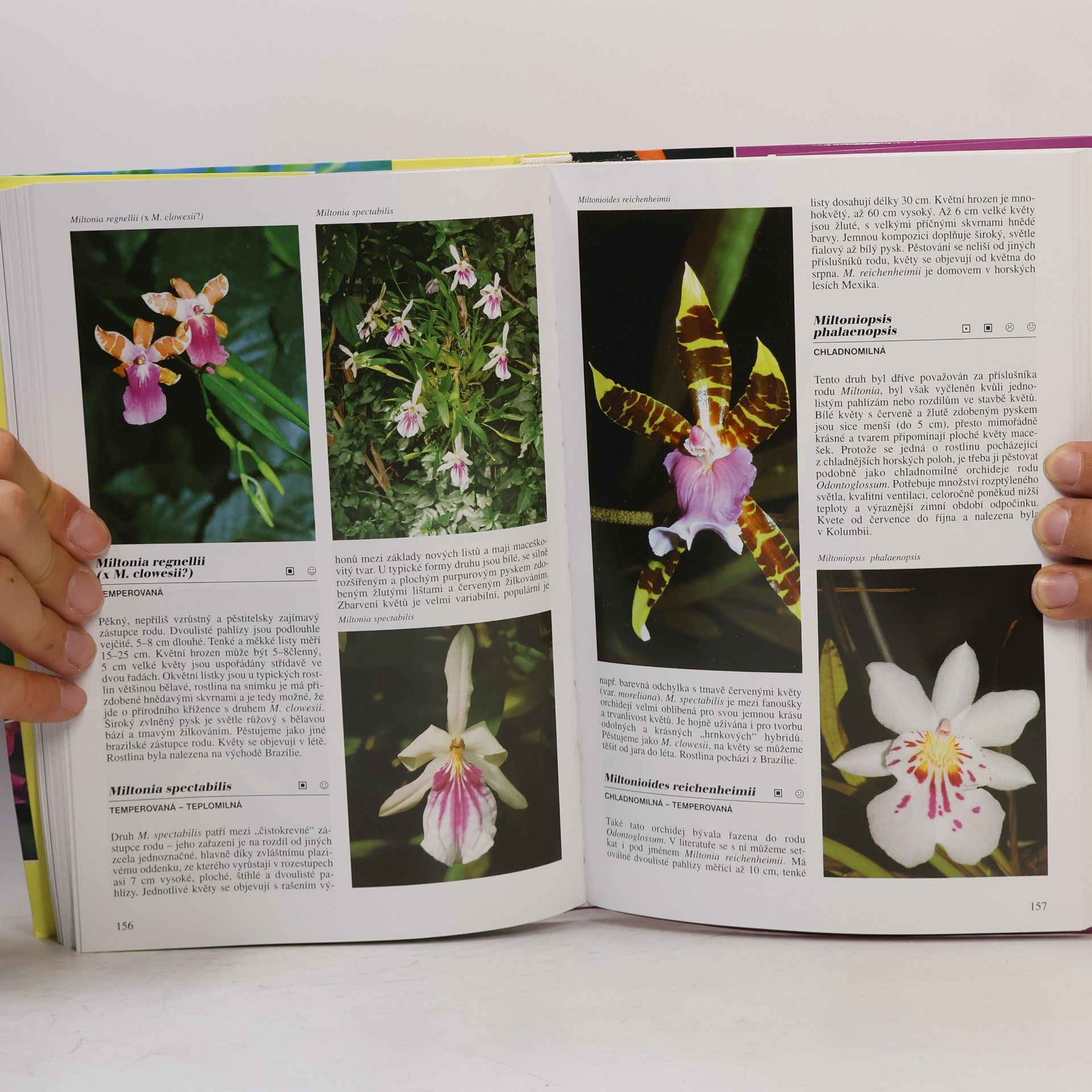 Zdeněk Ježek Orchideje - Praktická encyklopedie