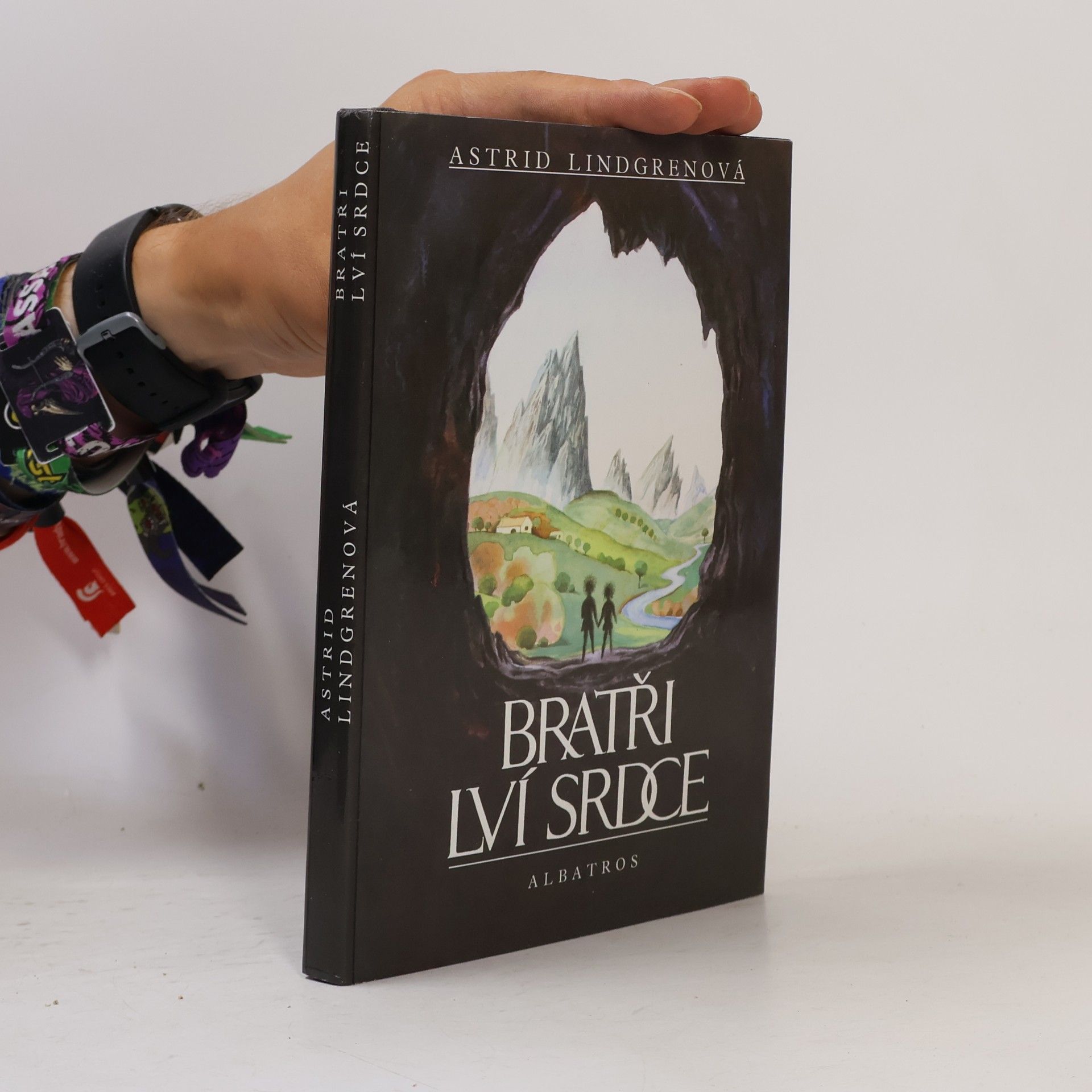 Astrid Lindgren Bratři Lví srdce