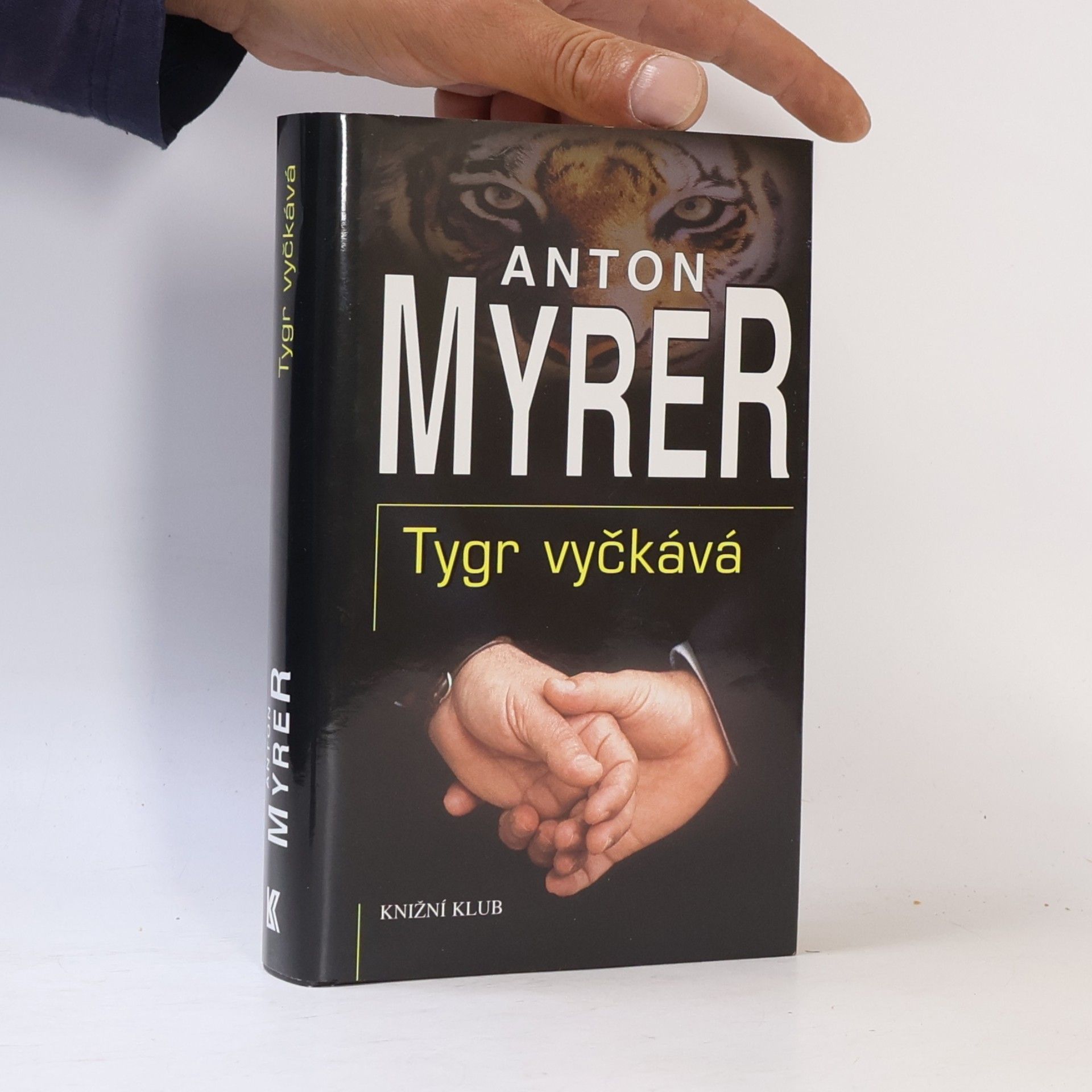 Ivo Šmoldas Tygr vyčkává