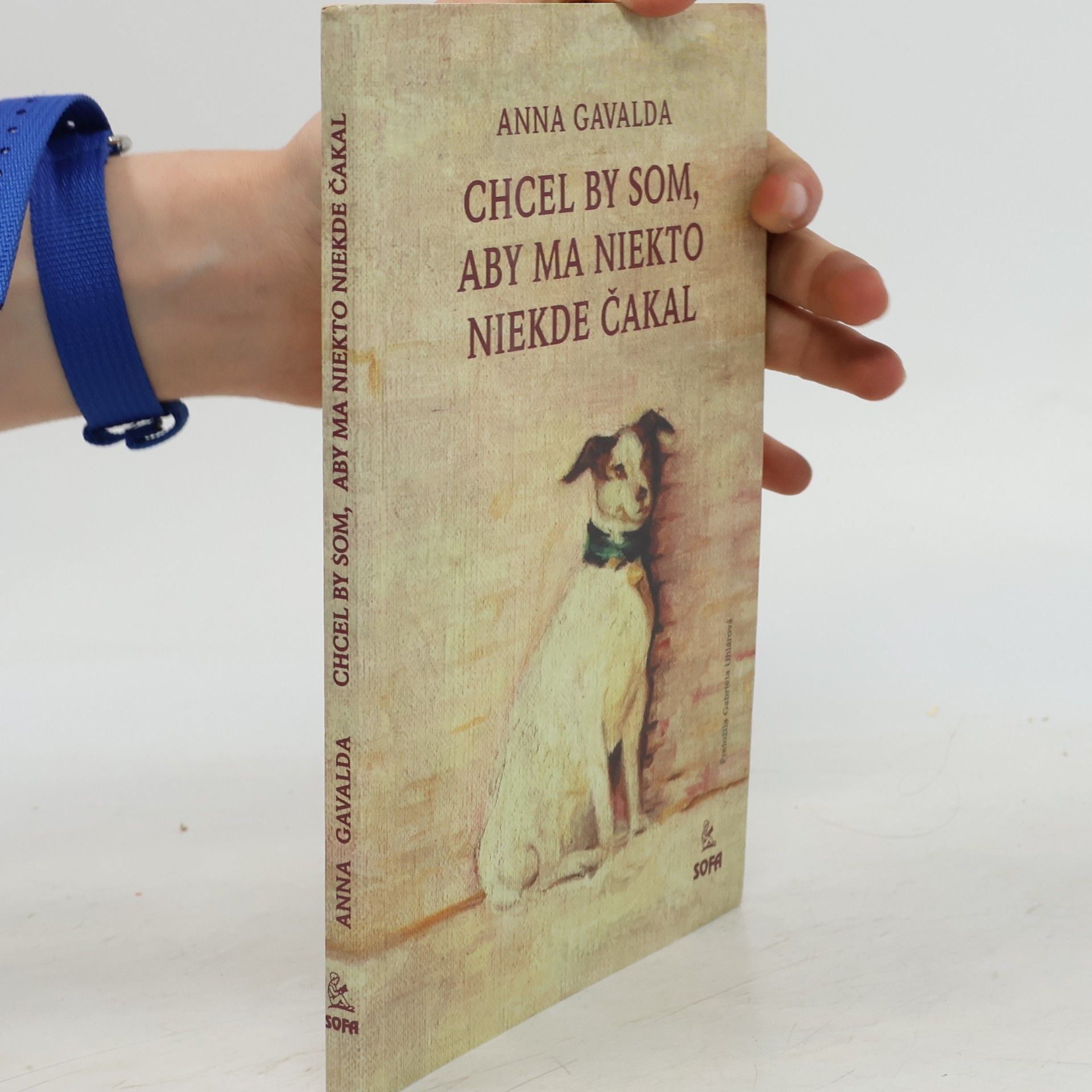 Anna Gavalda Chcel by som, aby na mňa niekto niekde čakal