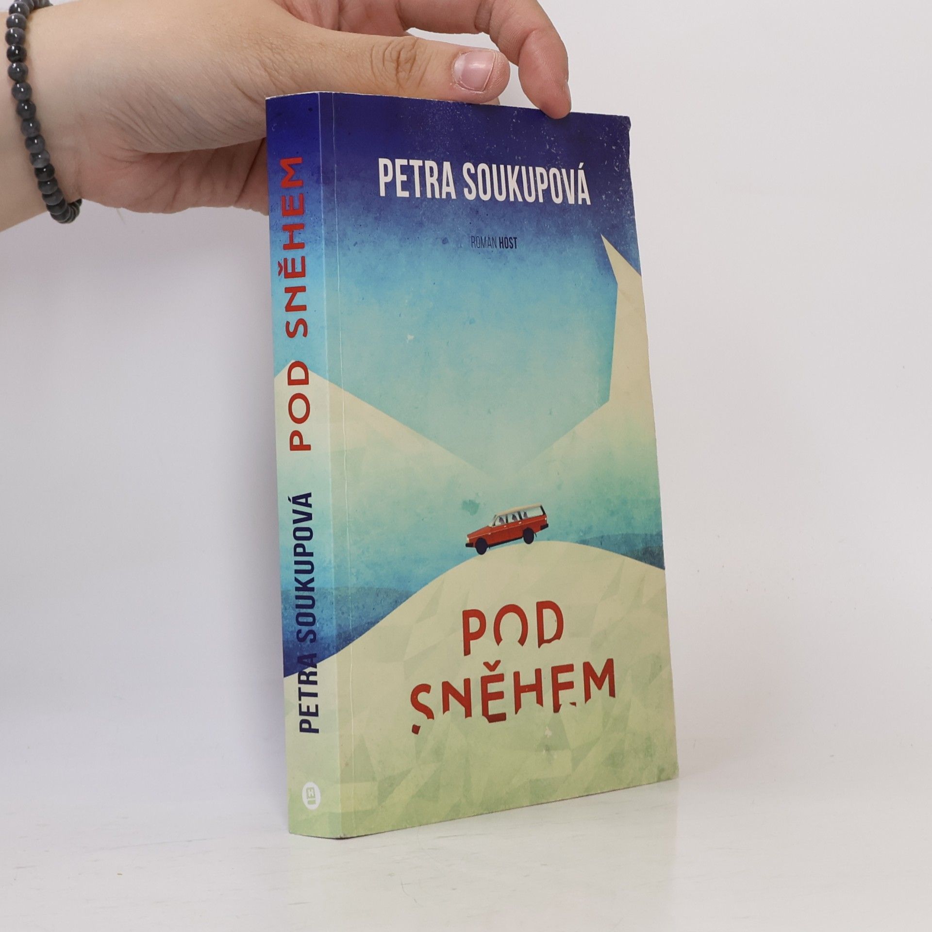 Petra Soukupova Pod sněhem
