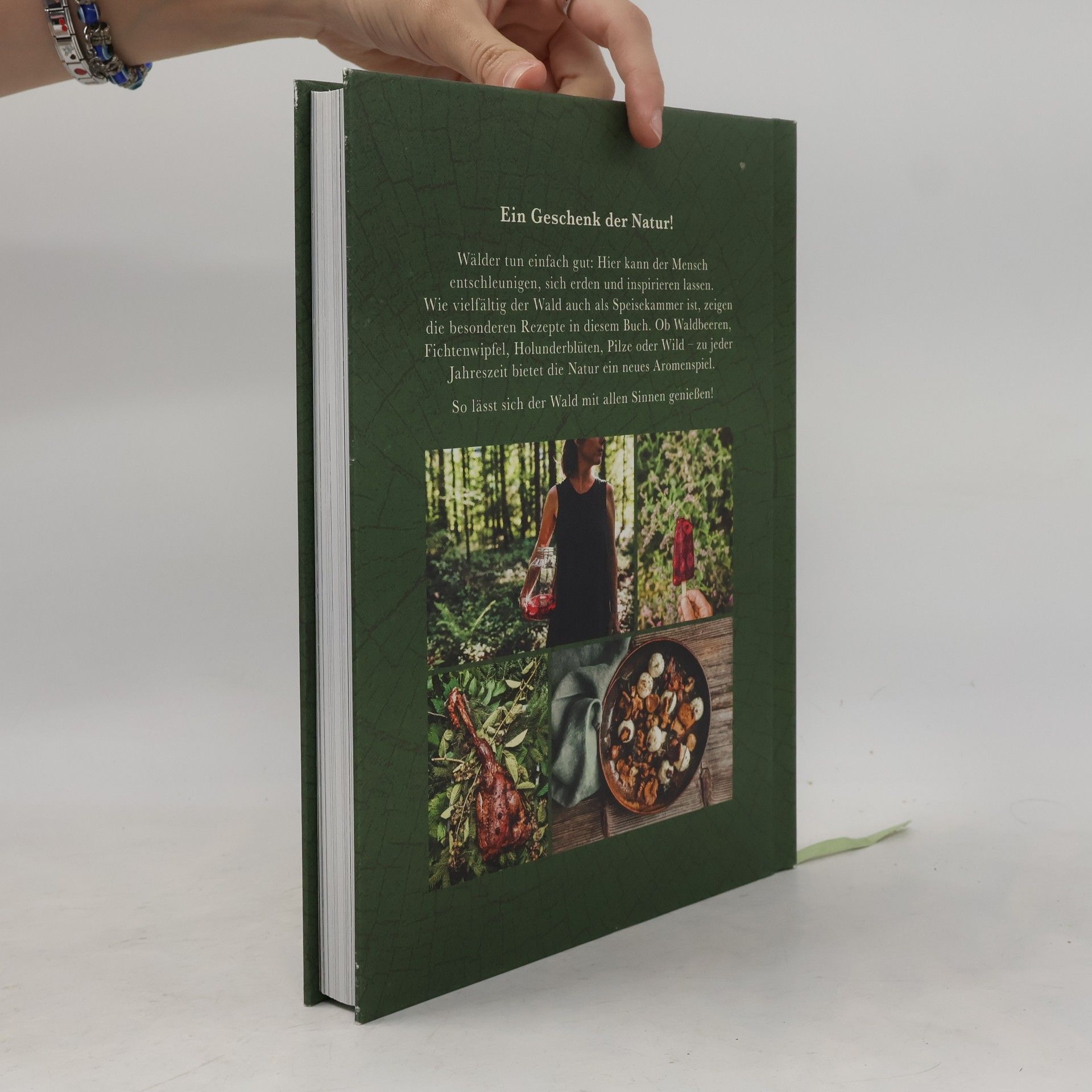 Bernadette Wörndl Waldkochbuch