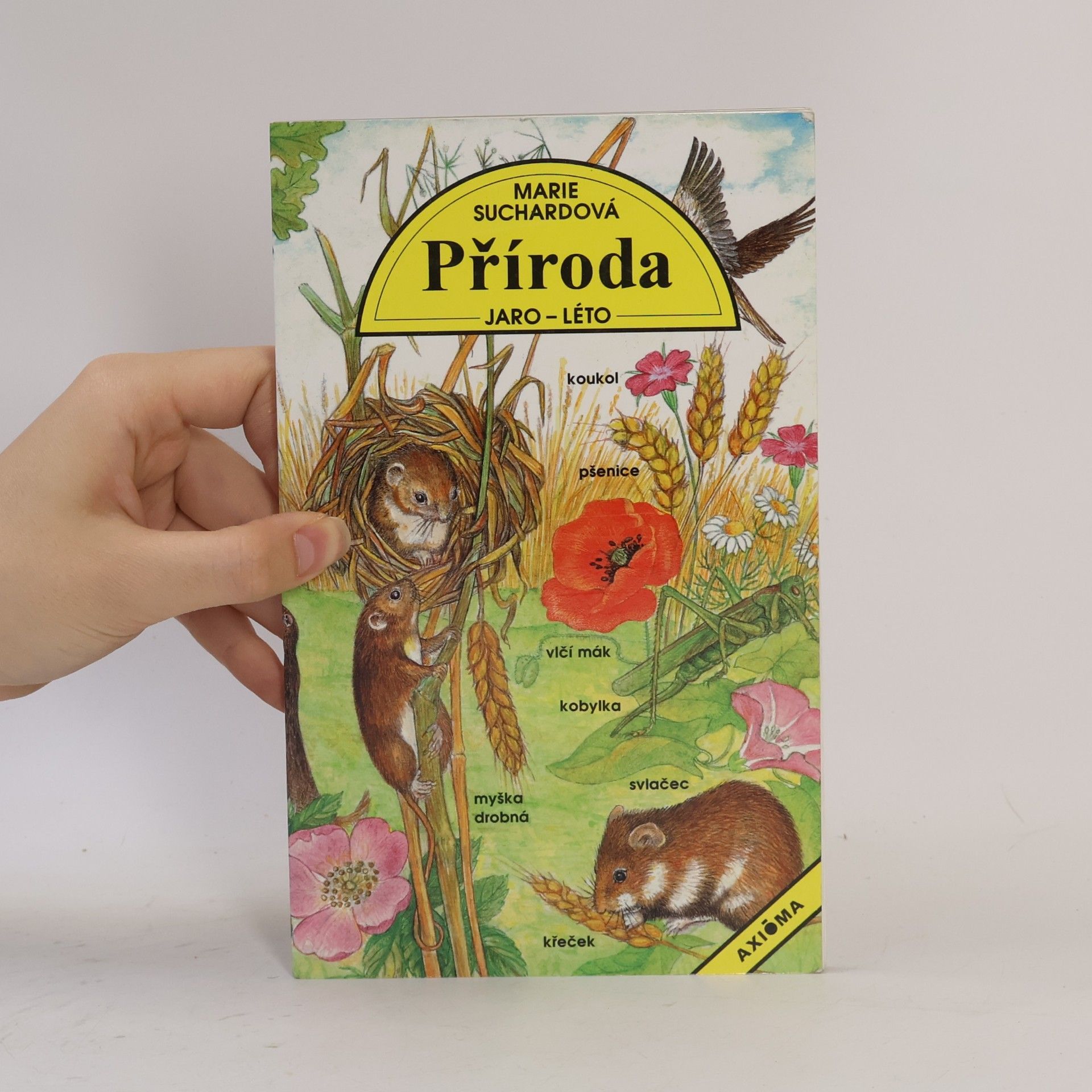 Suchardová Marie Příroda jaro- léto