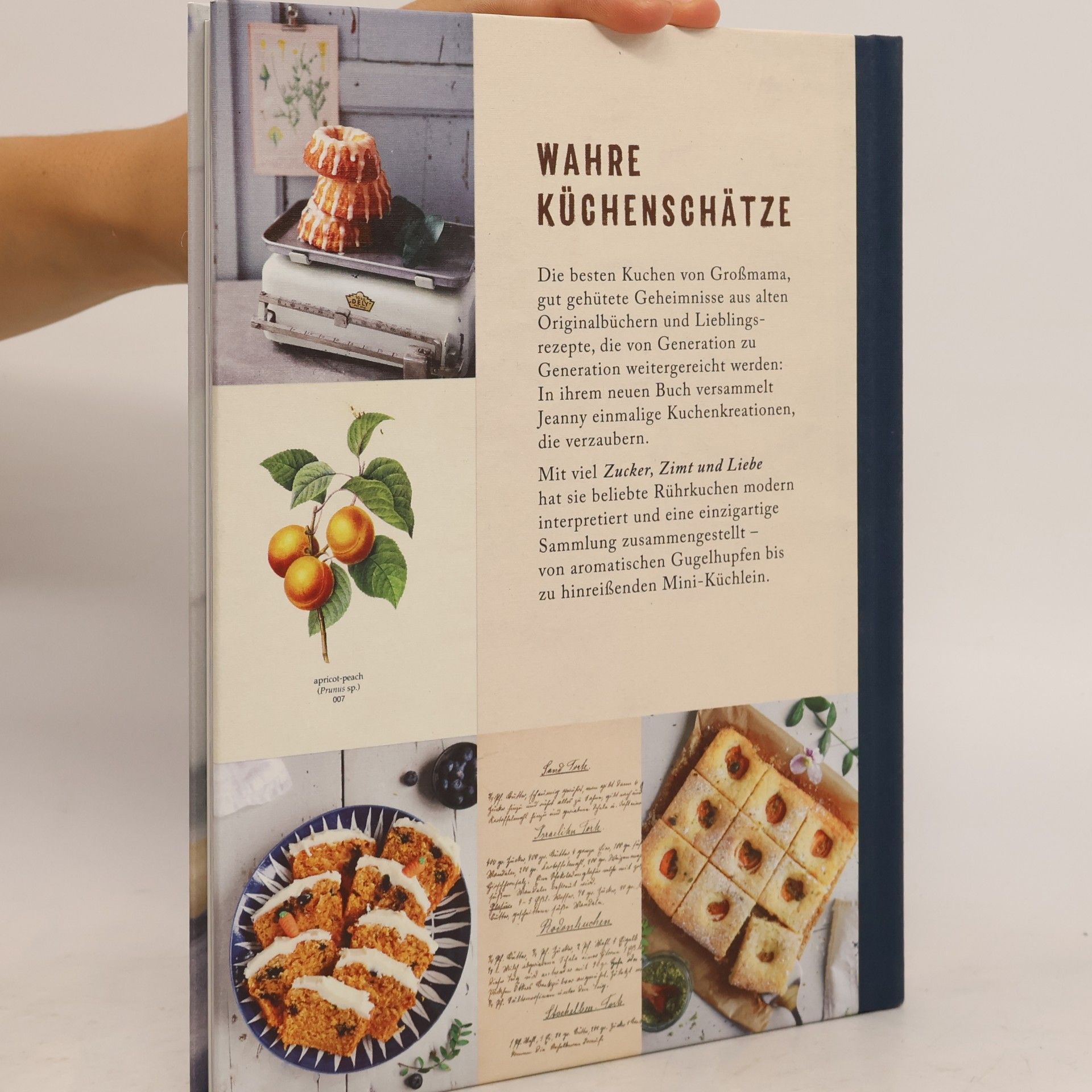 Virginia Horstmann Jeannys Lieblingskuchen