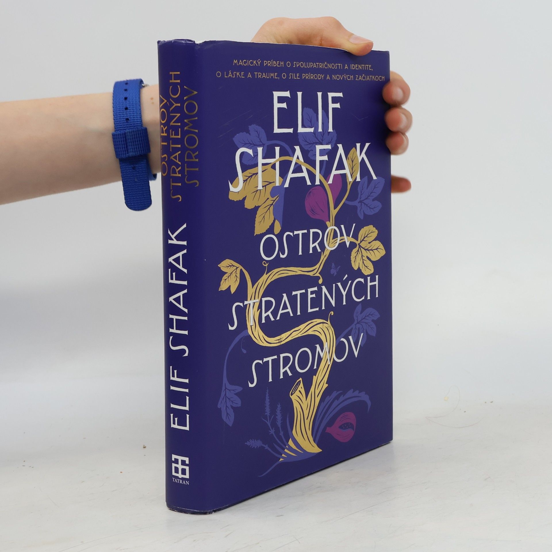 Elif Şafak Ostrov stratených stromov