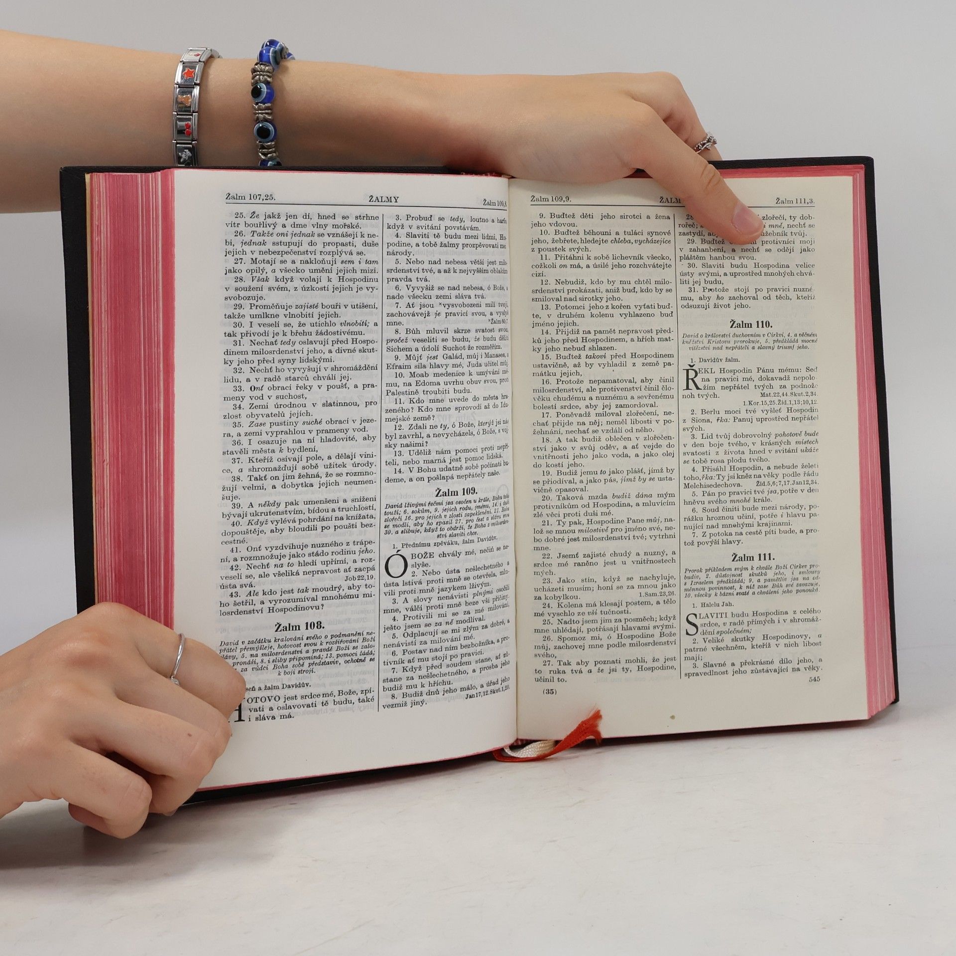 Autorenkollektiv Biblí svatá