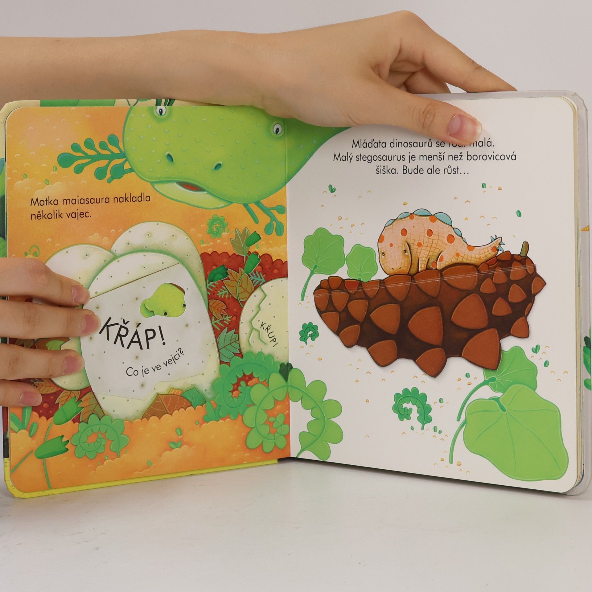 Anna Milbourne Kdepak bydlí dinosauři