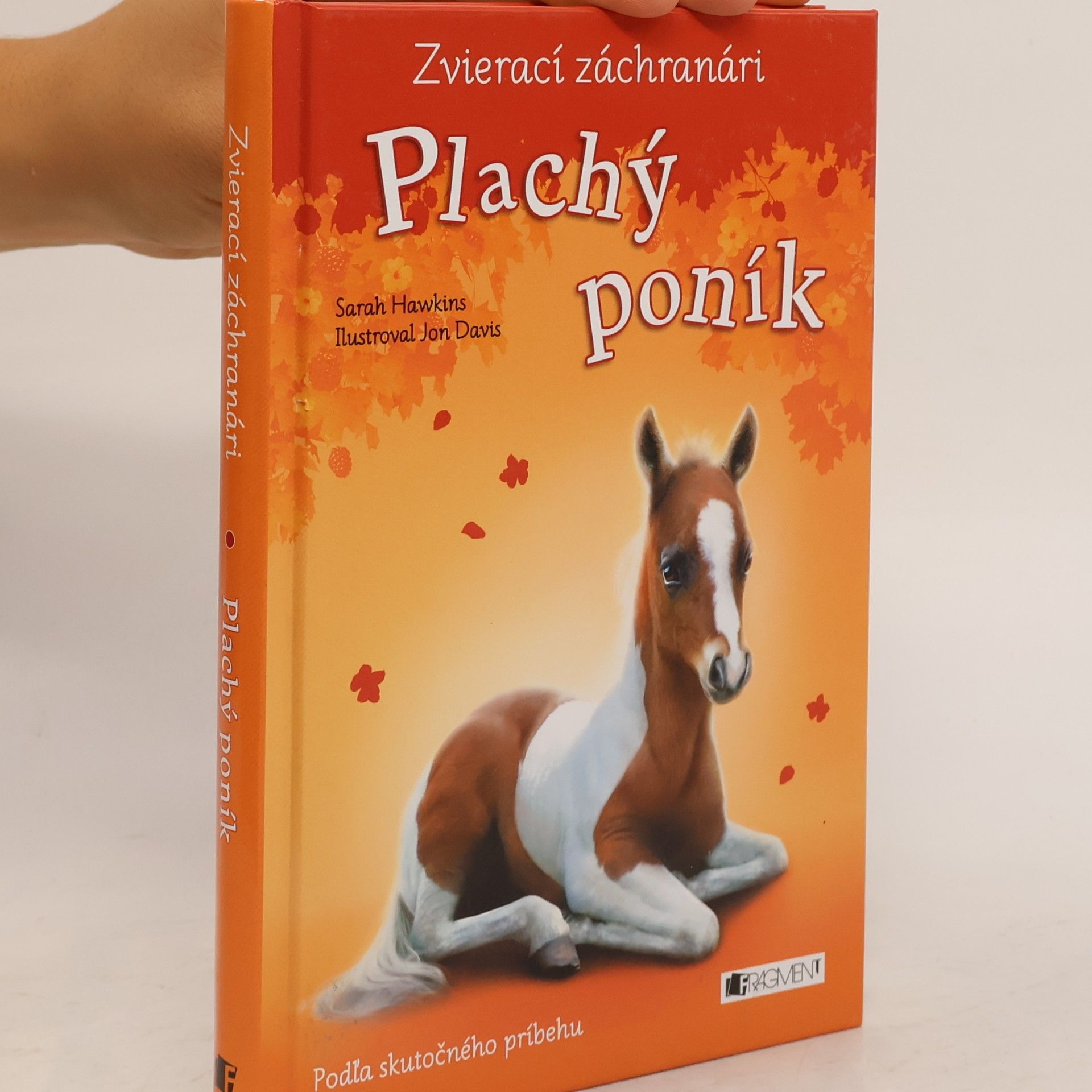 Sarah Hawkins Plachý poník
